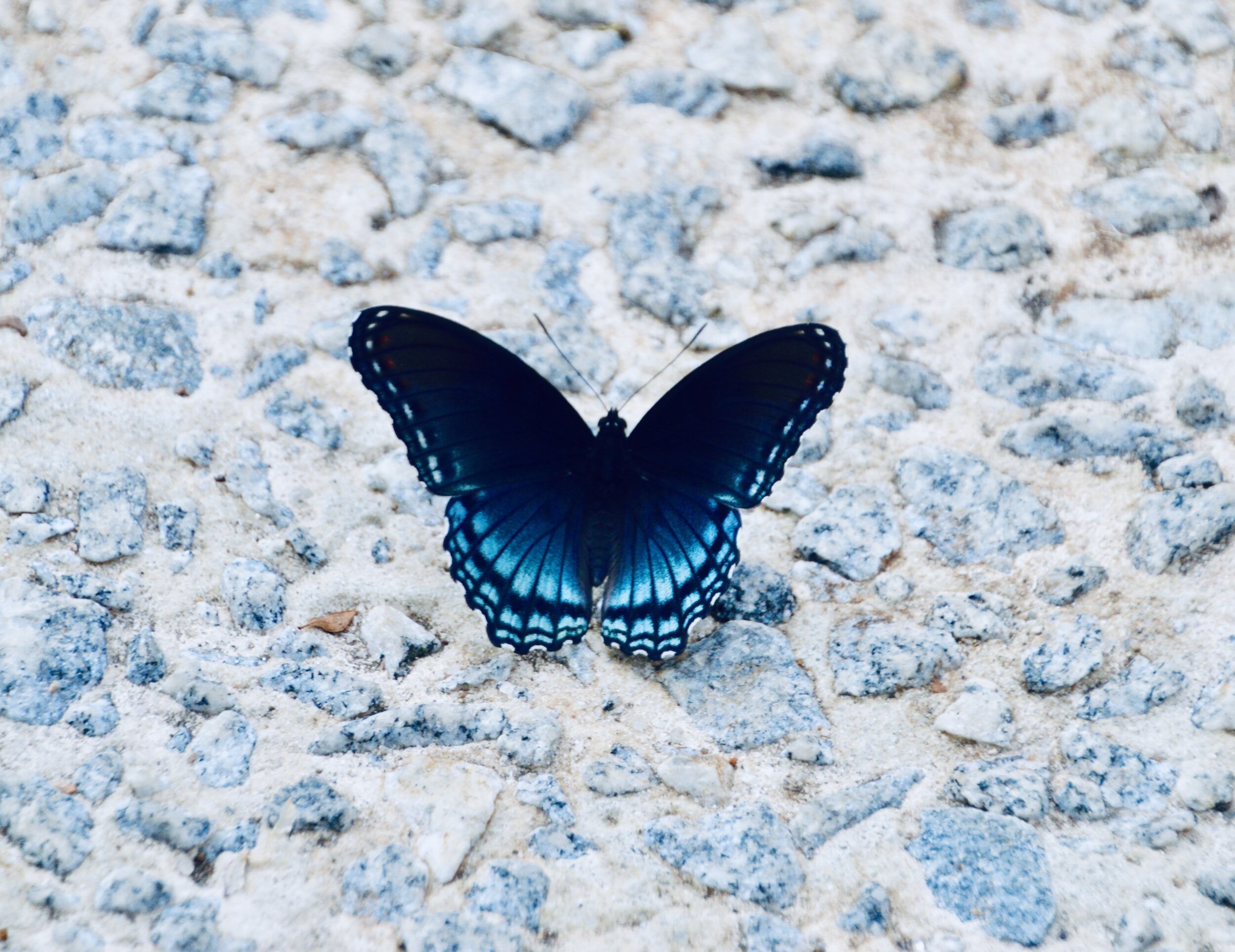 How to Not Be Yourself: 5 Easy Steps
