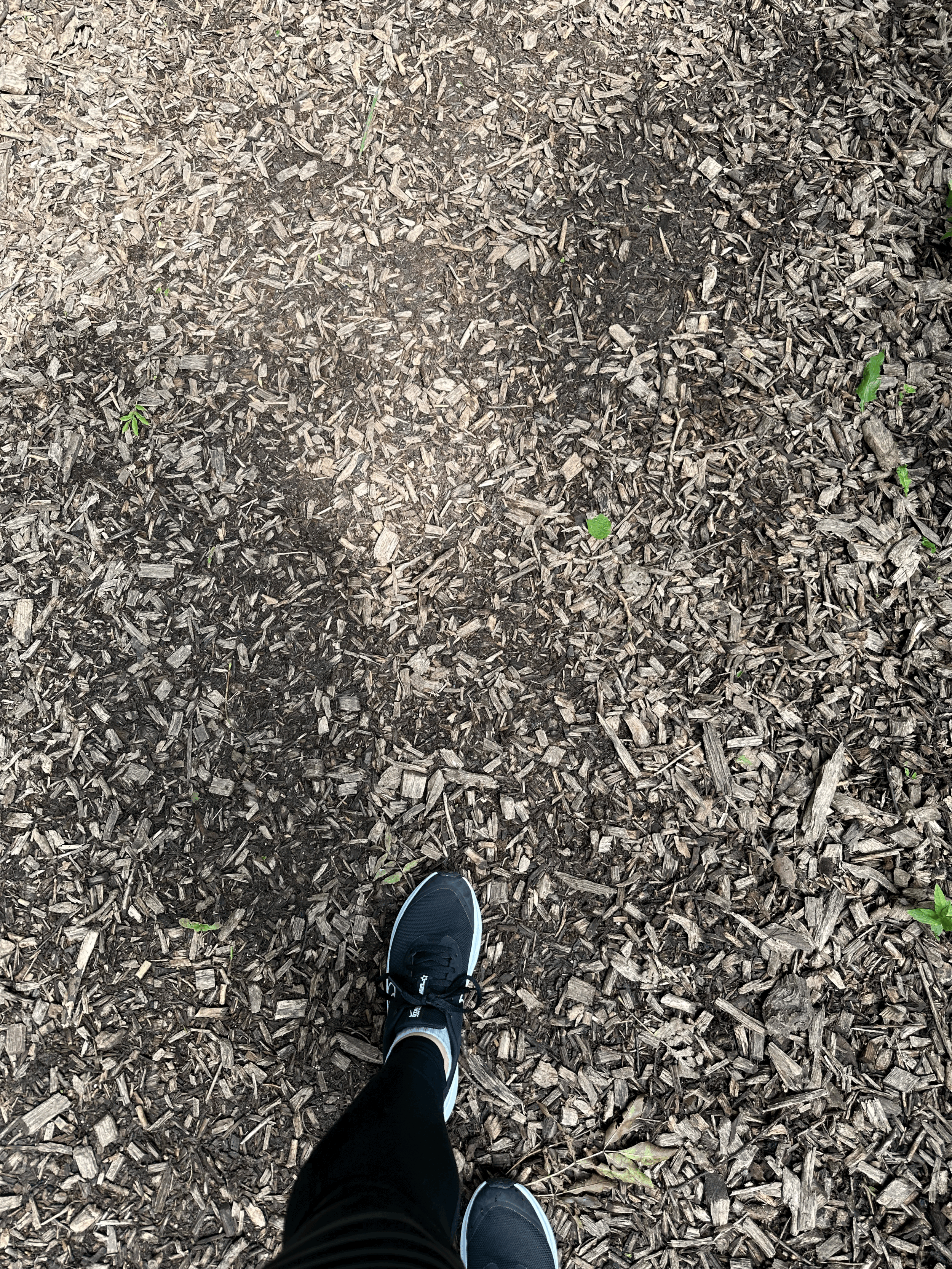 Nature’s Walk