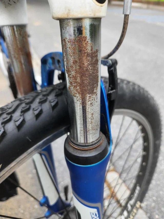 Severely rusted stanchions on suspension is a problem. This level of pitting would not be something we could accept.