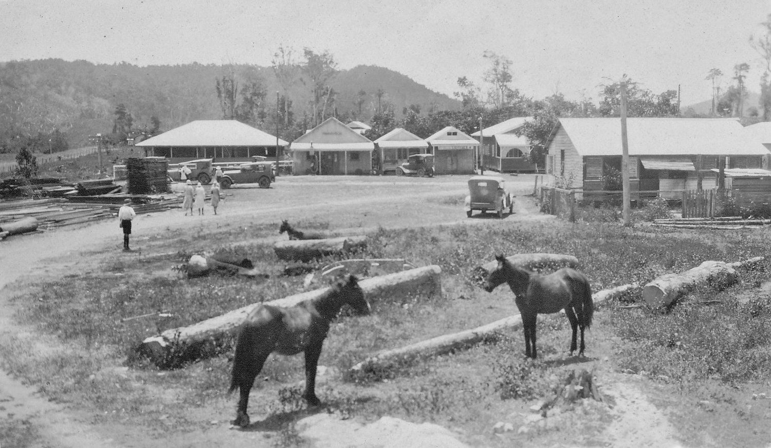 DAINTREE VILLAGE — Douglas Shire Historical Society