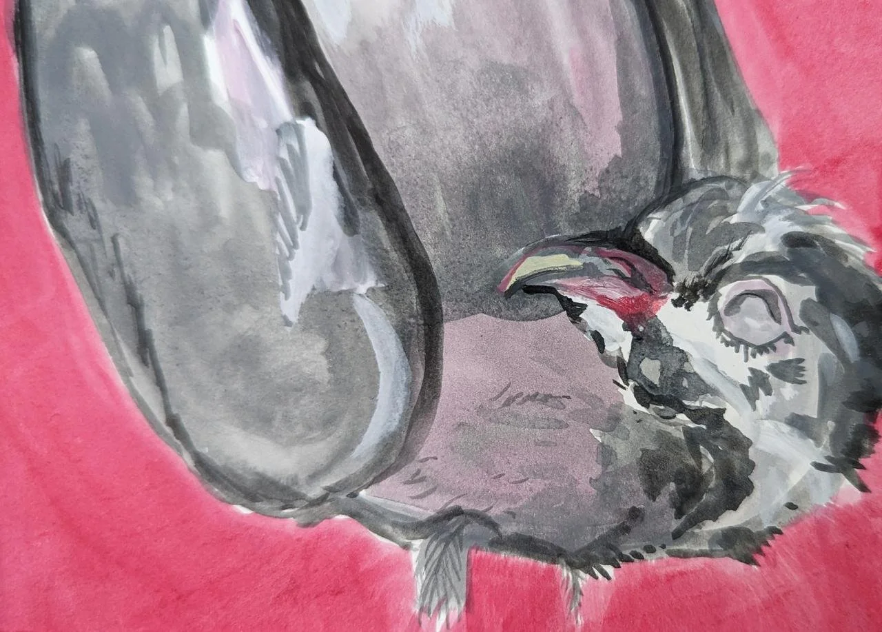 PAINTING OF A DEAD PIDGEON