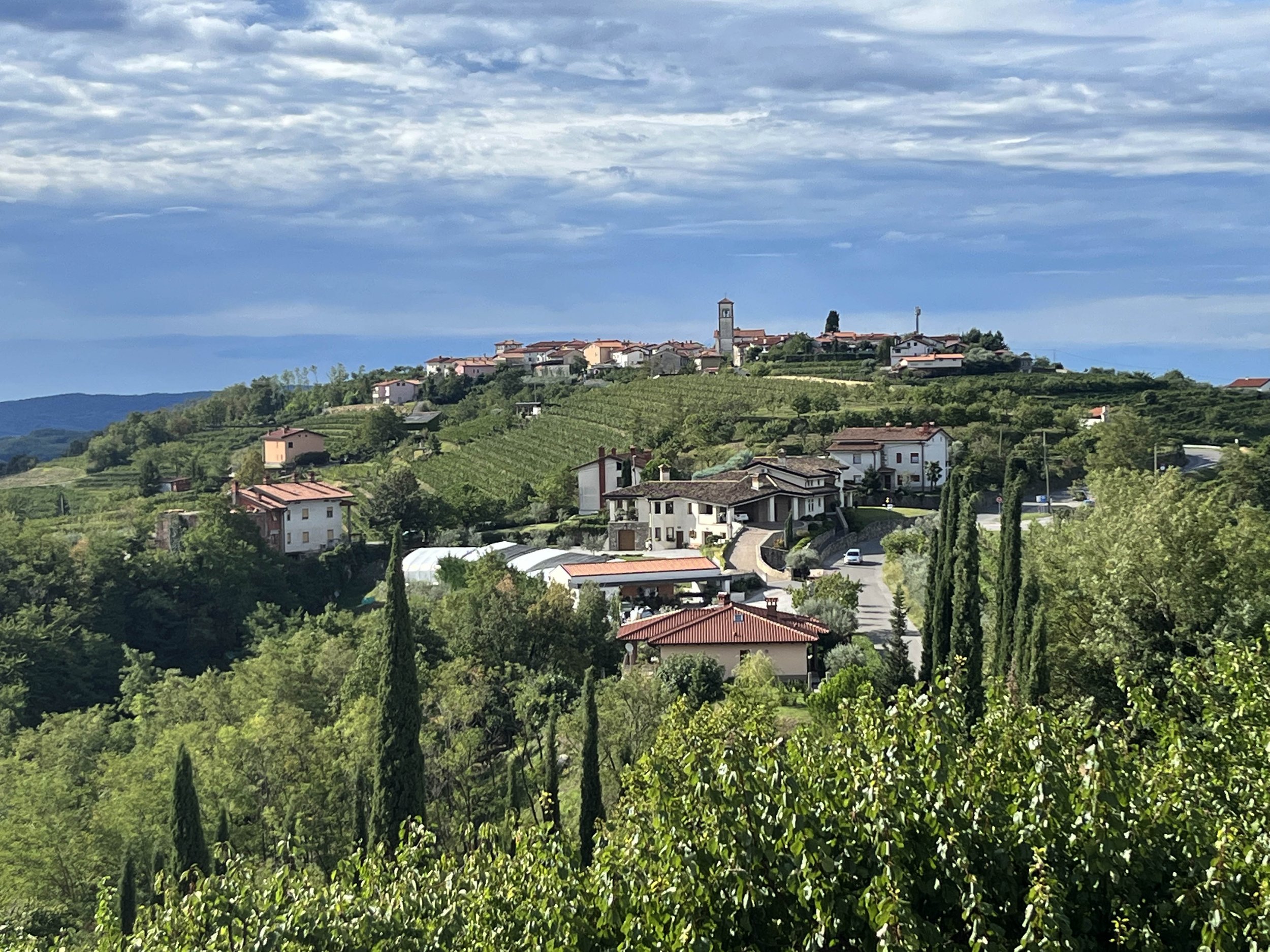 Goriska-Brda-wine-region-Slovenia-5.jpg