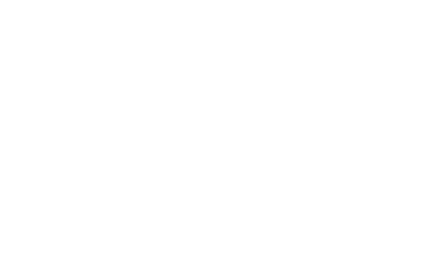RARE_Longhouse Studio.png