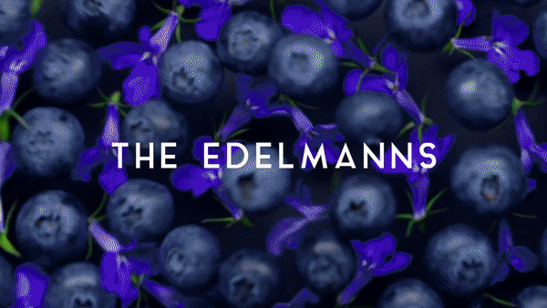 The edelmanns.gif