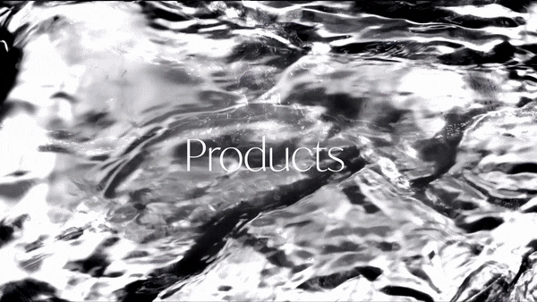 PRODUCTS.gif