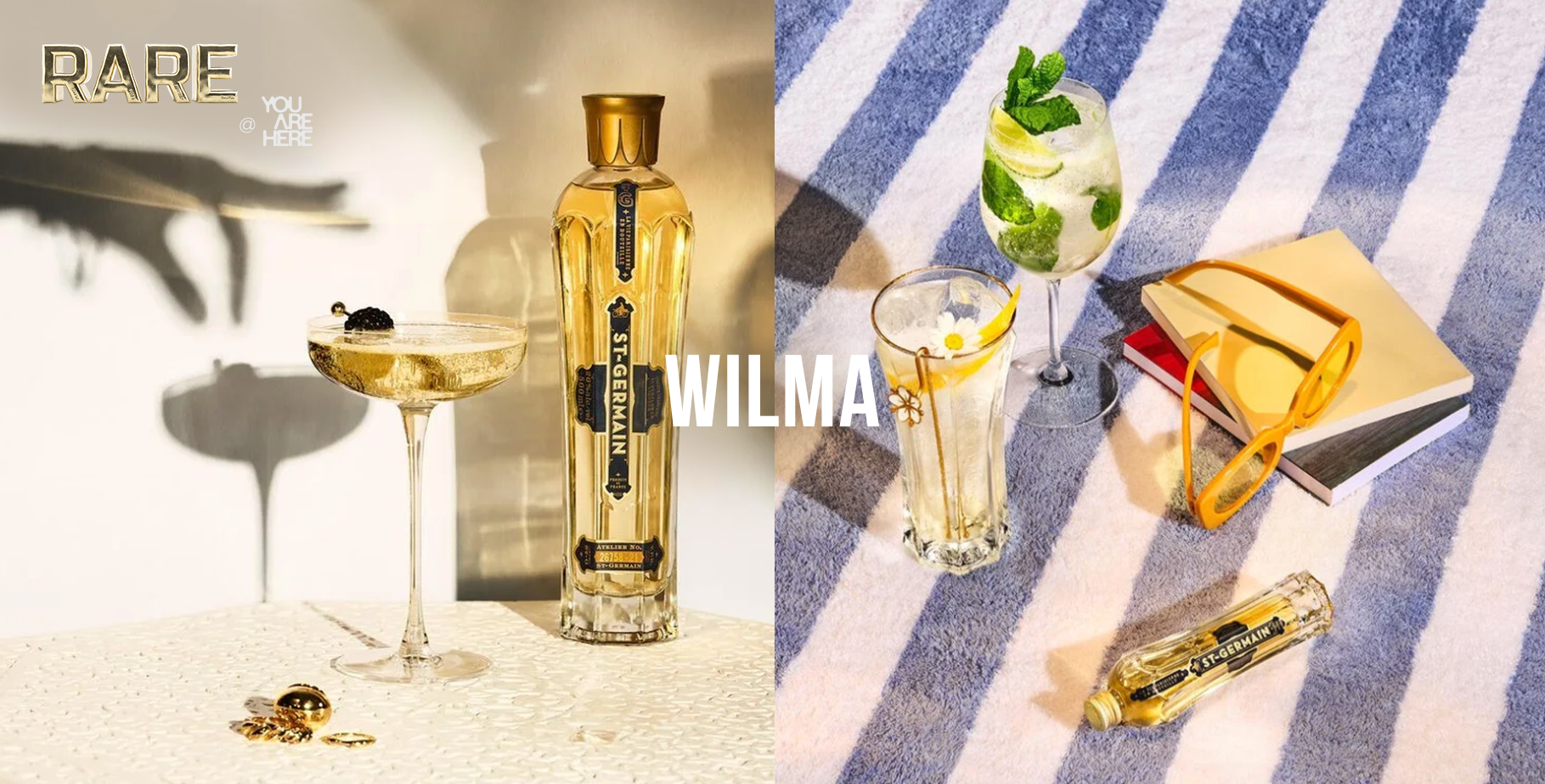 Wilma - RARE Photography Banner v1.png