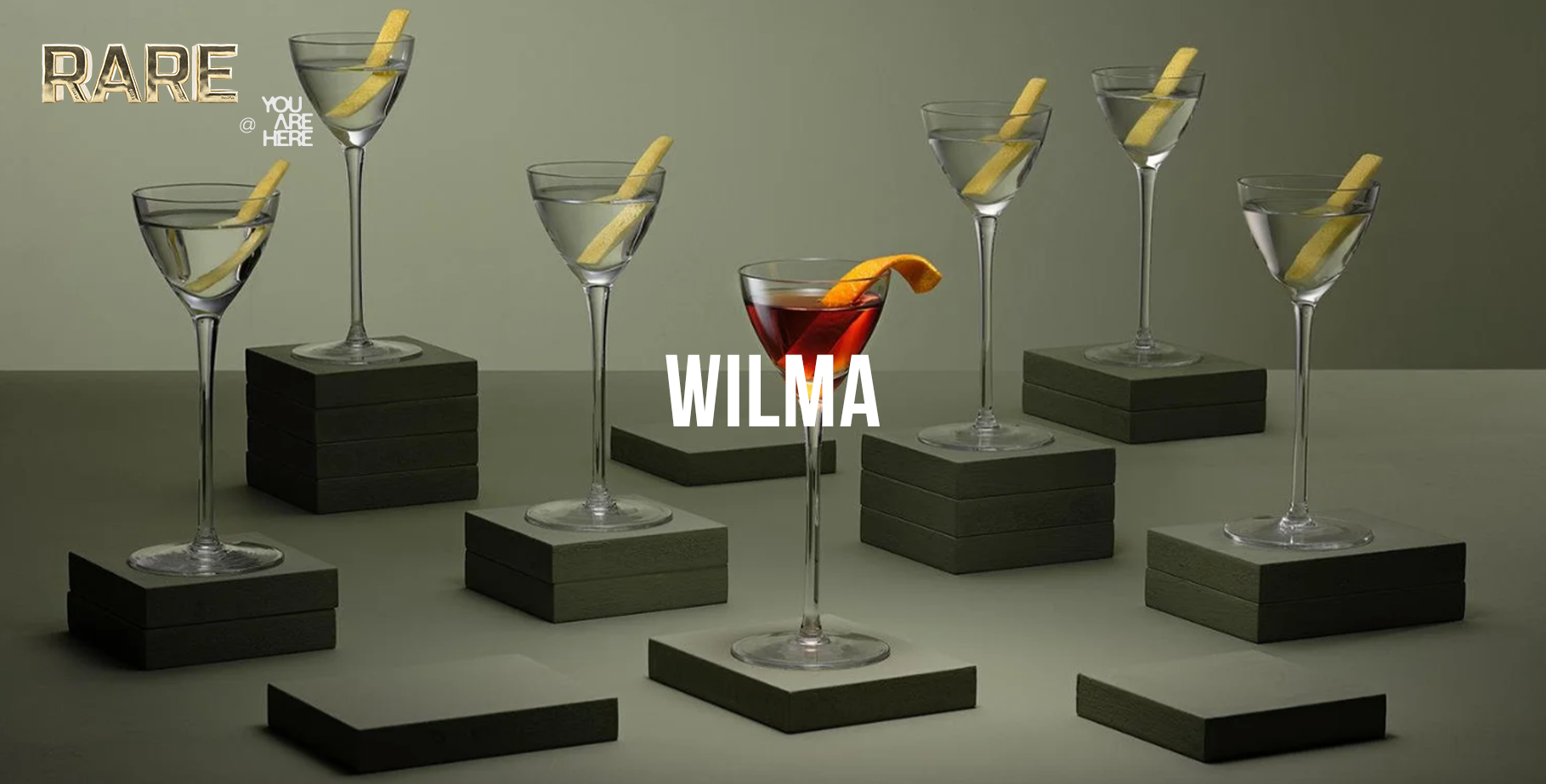 Wilma - RARE Photography Banner v4.png