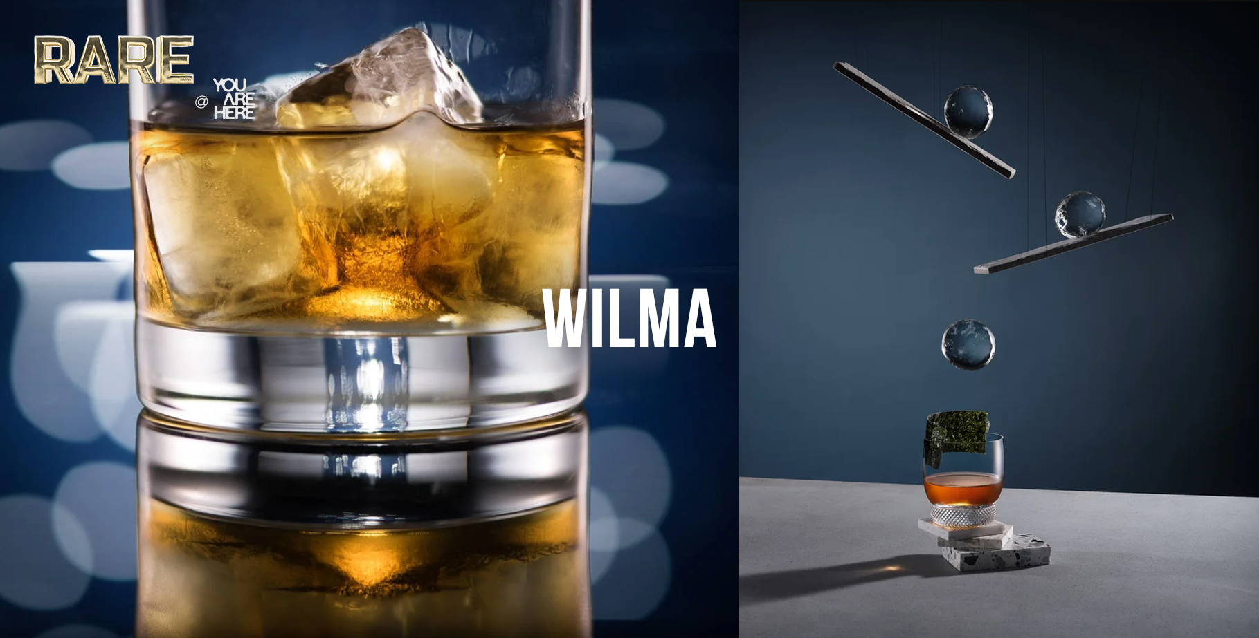 Wilma - RARE Photography Banner v2.png