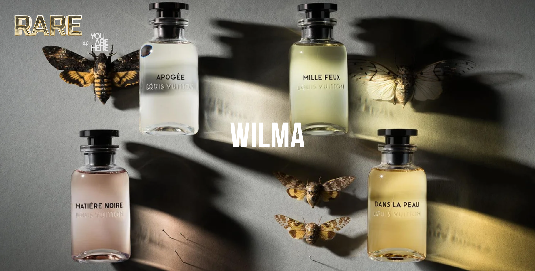 Wilma - RARE Photography Banner V5.png