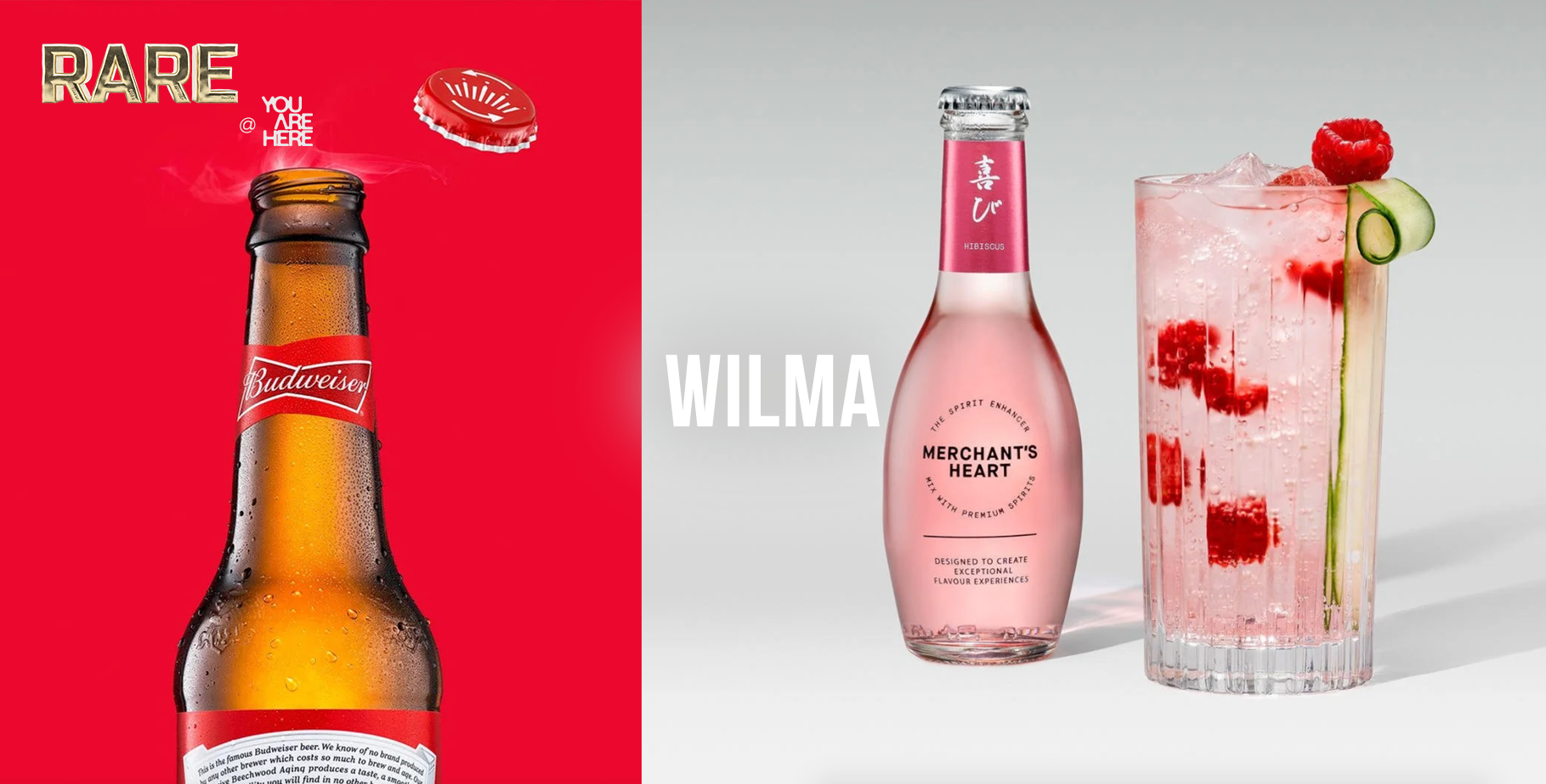 Wilma - RARE Photography Banner v6.png