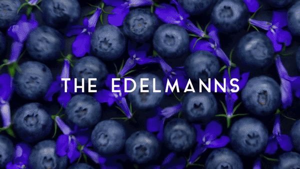 The Edelmanns.gif