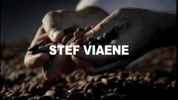 Stef Viaene.gif