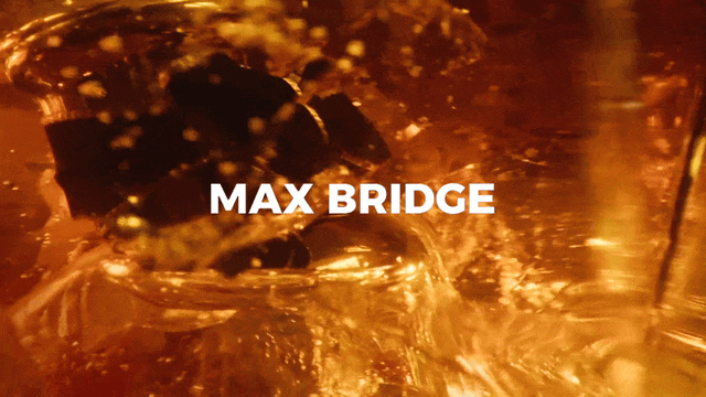 MAX BRIDGE.gif
