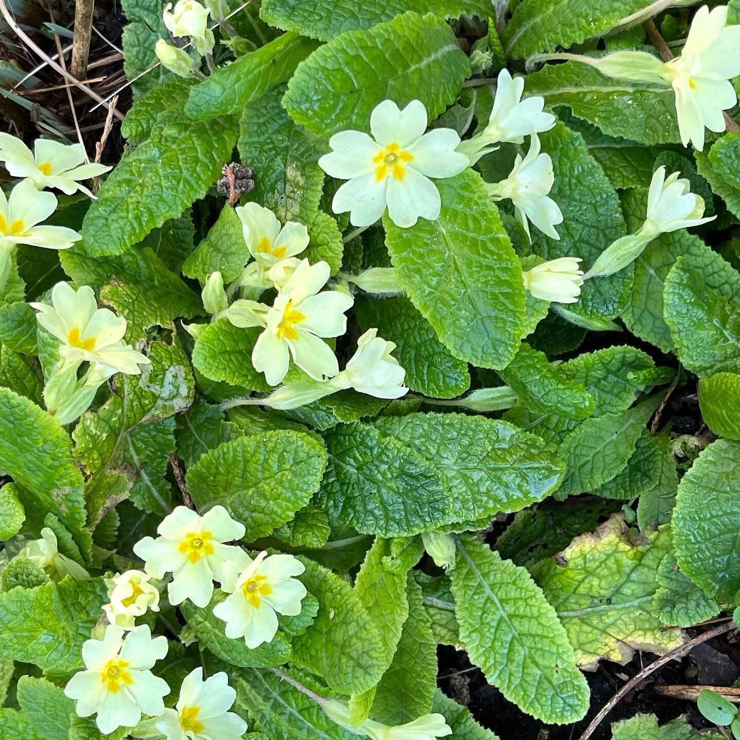 A little break from the awful war news&hellip;. Nature doing its thing 
#peace