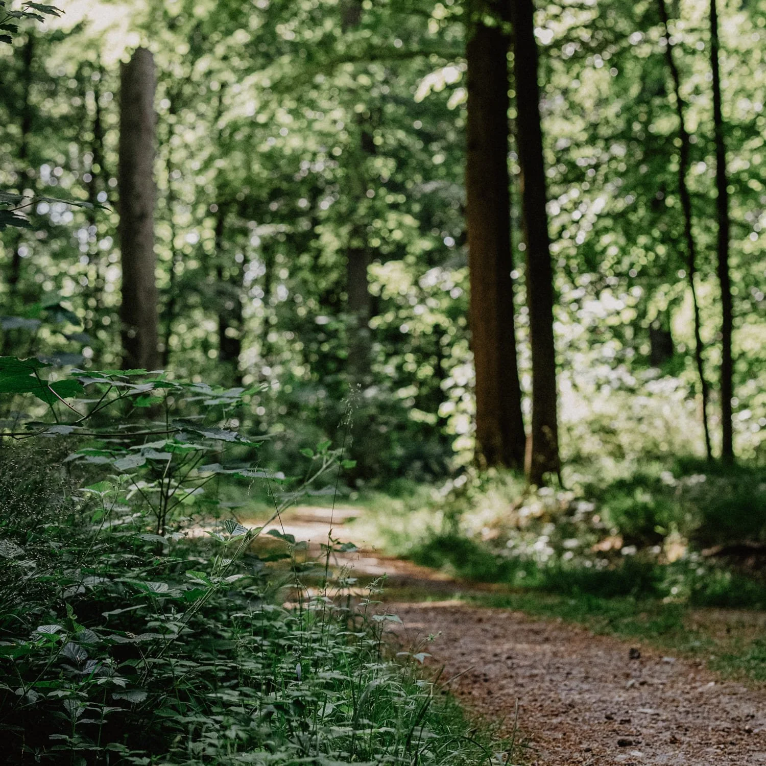 wanderfotografie_01.jpg