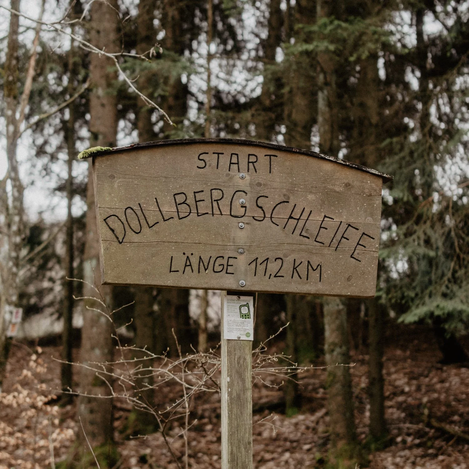 dollberg_01.jpg