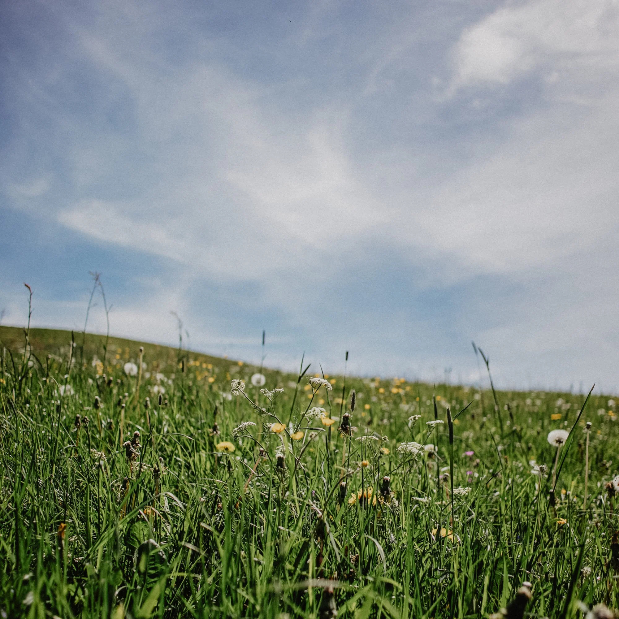 wasserkuppe04.jpg