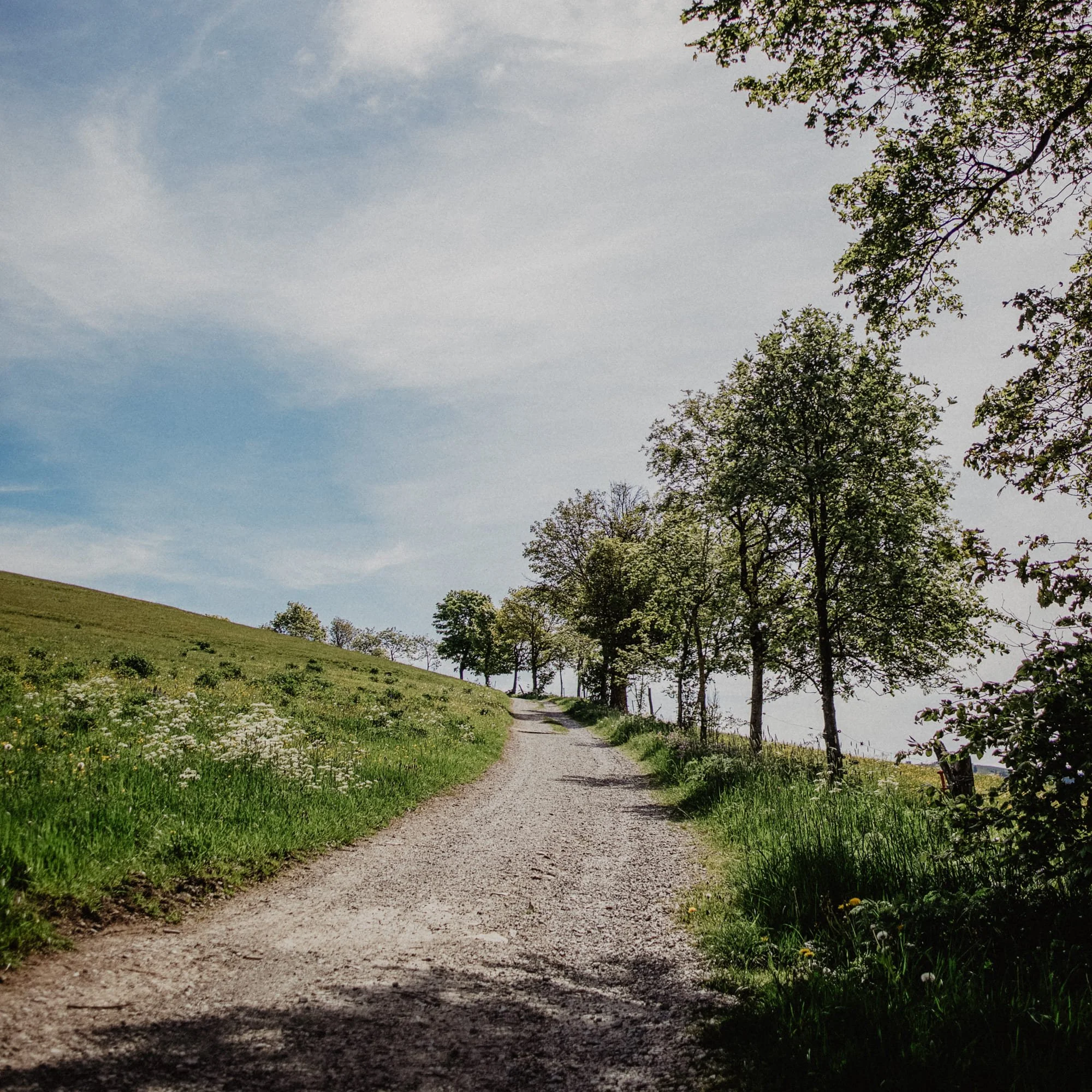 wasserkuppe06.jpg