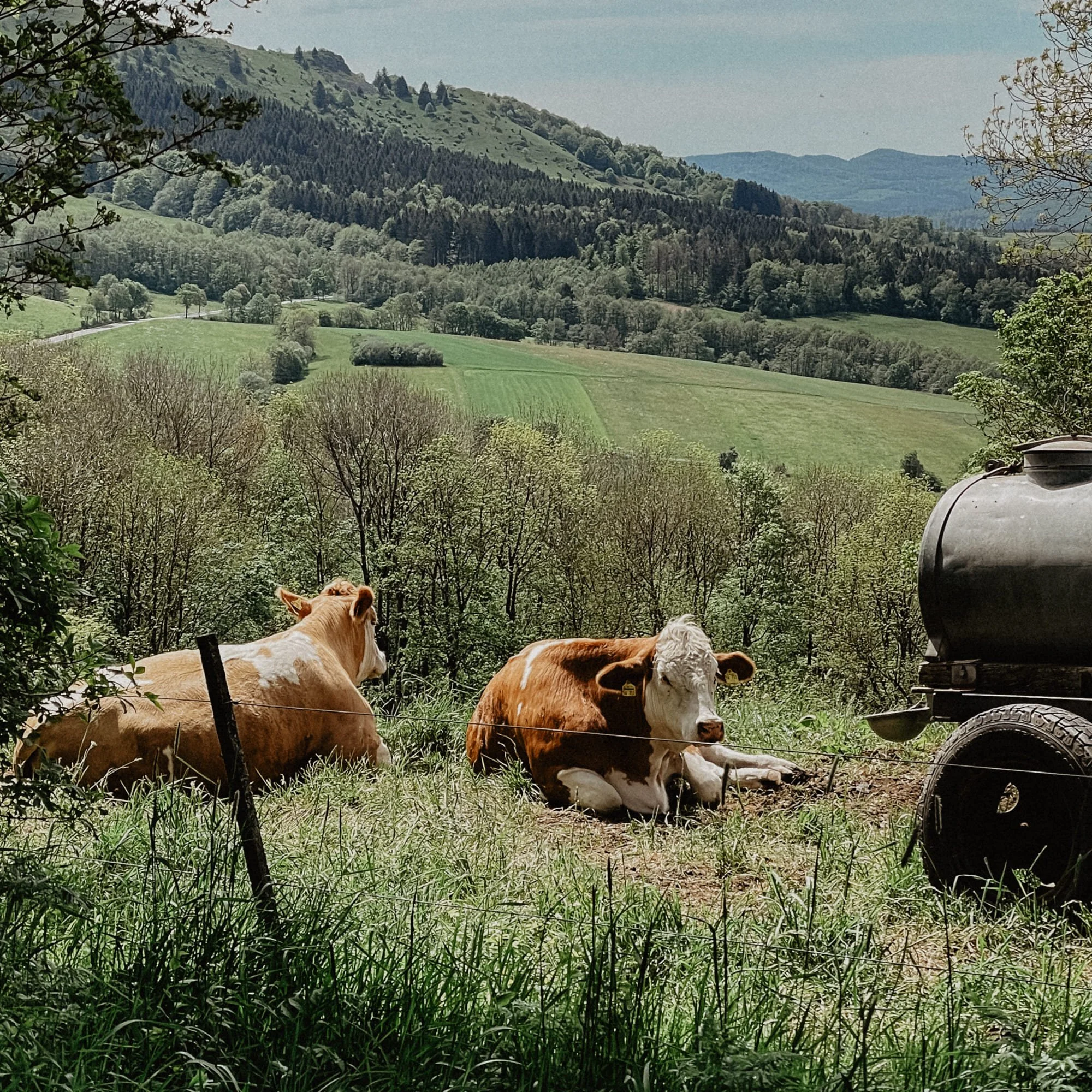 wasserkuppe07.jpg