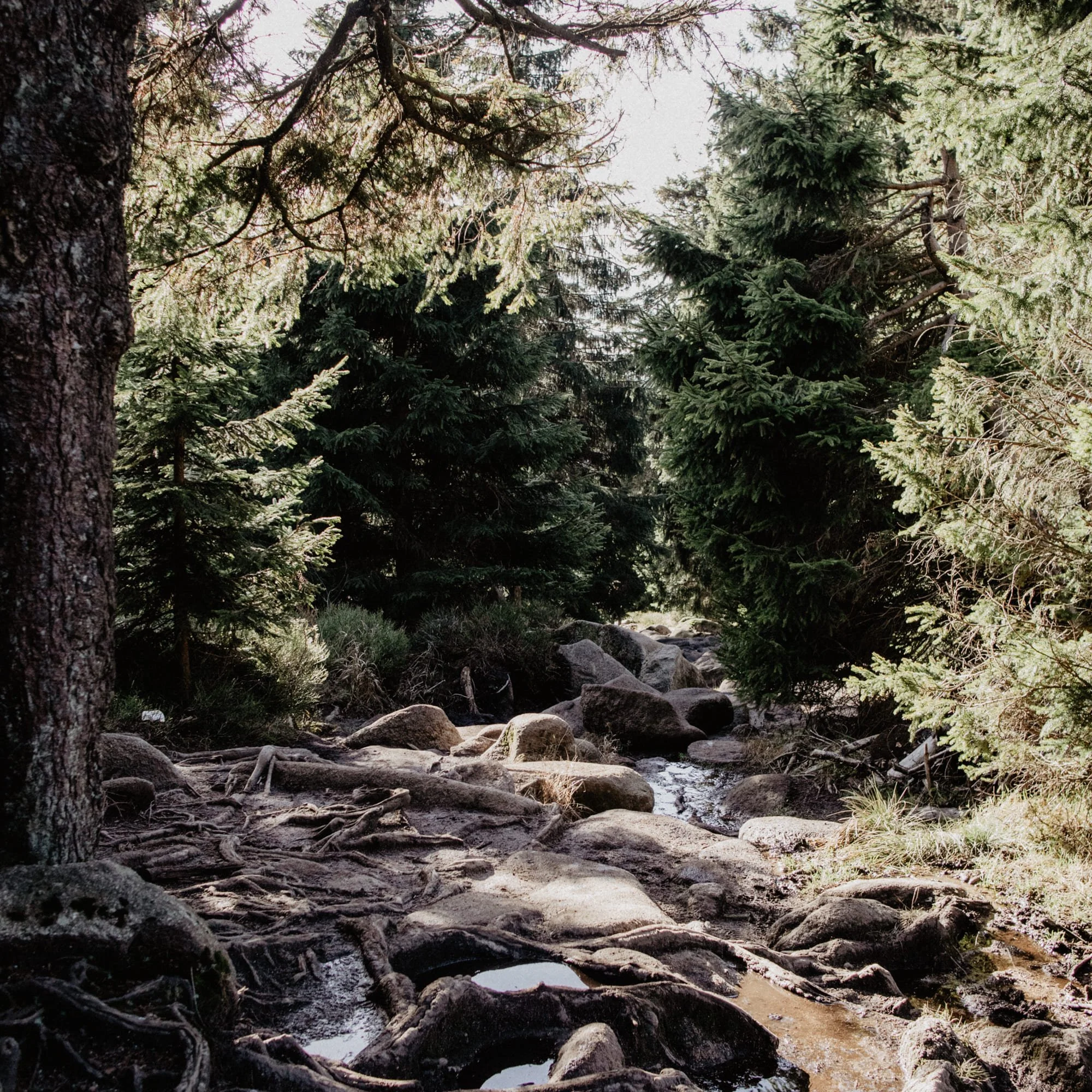 brocken04.jpg