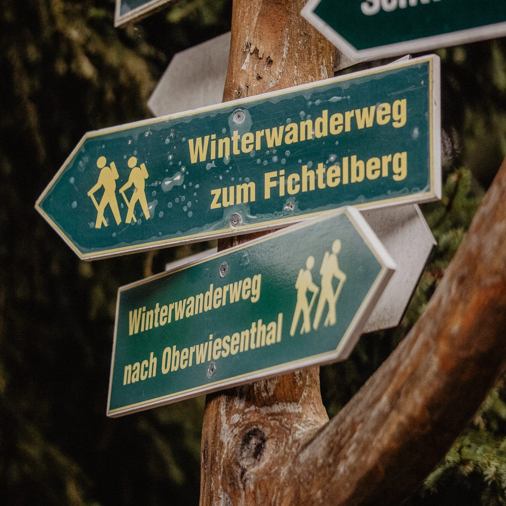 fichtelberg06.jpg