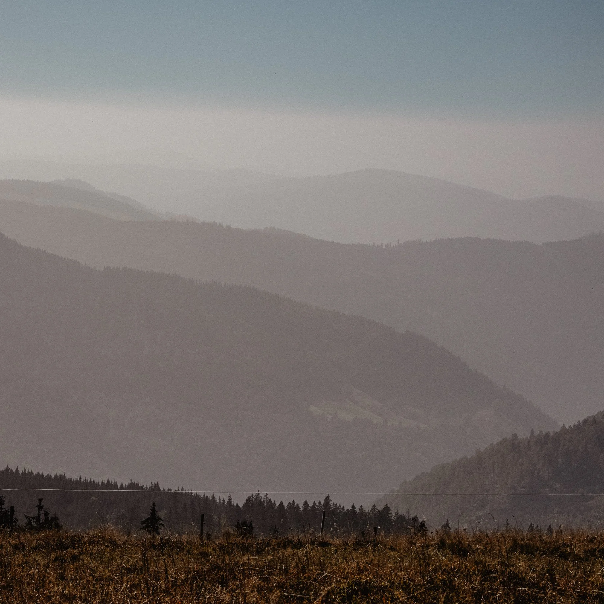feldberg10.jpg
