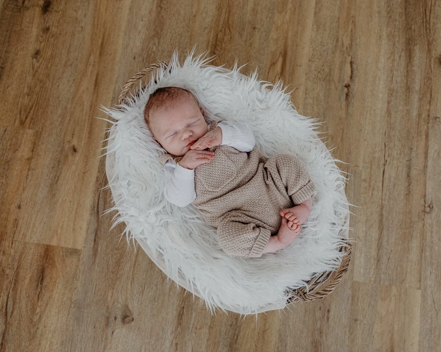 newbornshooting02.jpg