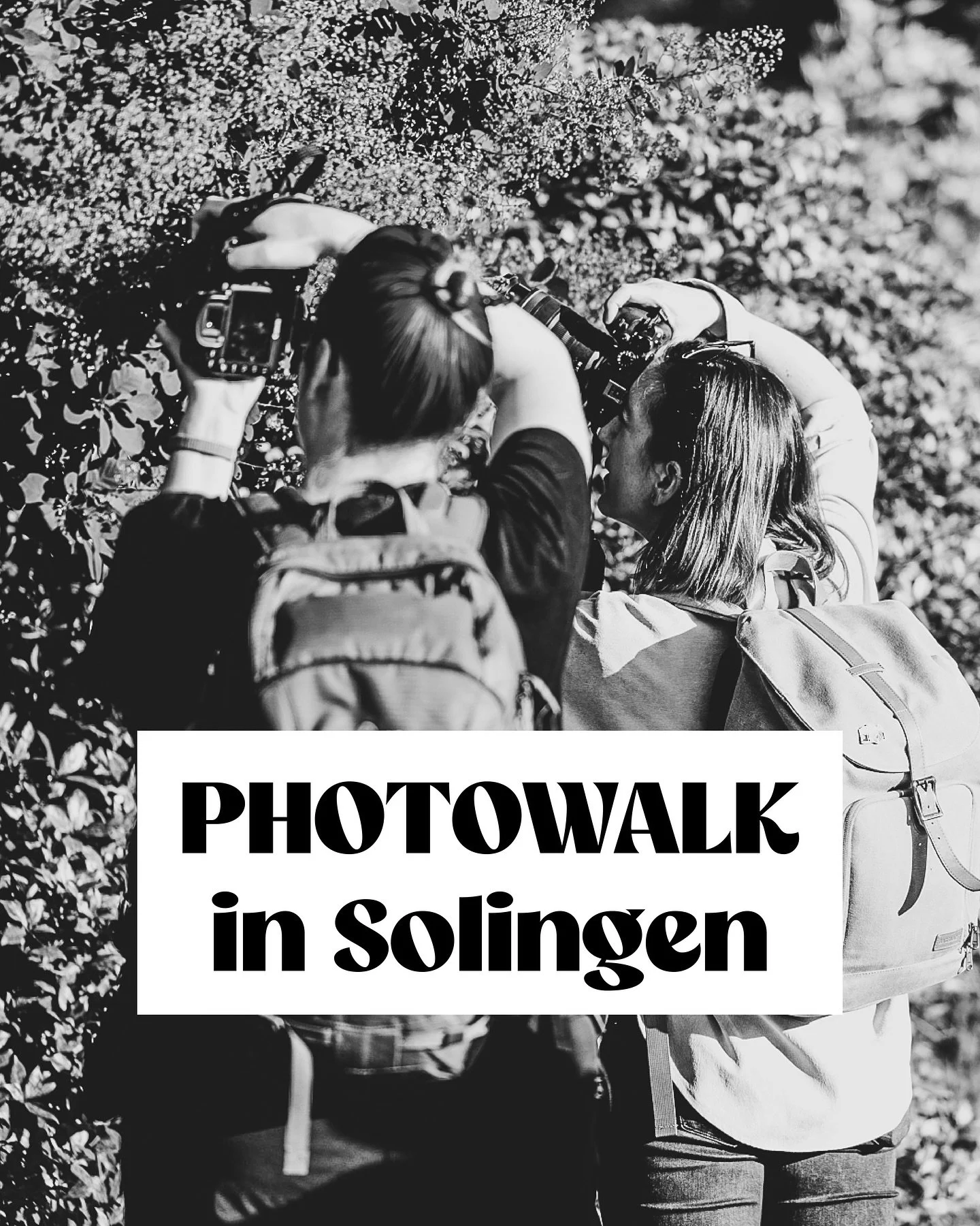 Photowalk in Solingen 📷👣

🗓️ 19. August 2025
⏰ 18 Uhr
⏳ ca. 2 Stunden
💸 kostenfrei

Anmeldung einfach per Instagram-dm :)

mit @farbhase.fotografie und @kathrinfotografiert 

diese tollen Fotos hat @alexandrah.foto beim letzten Photowalk im Botan