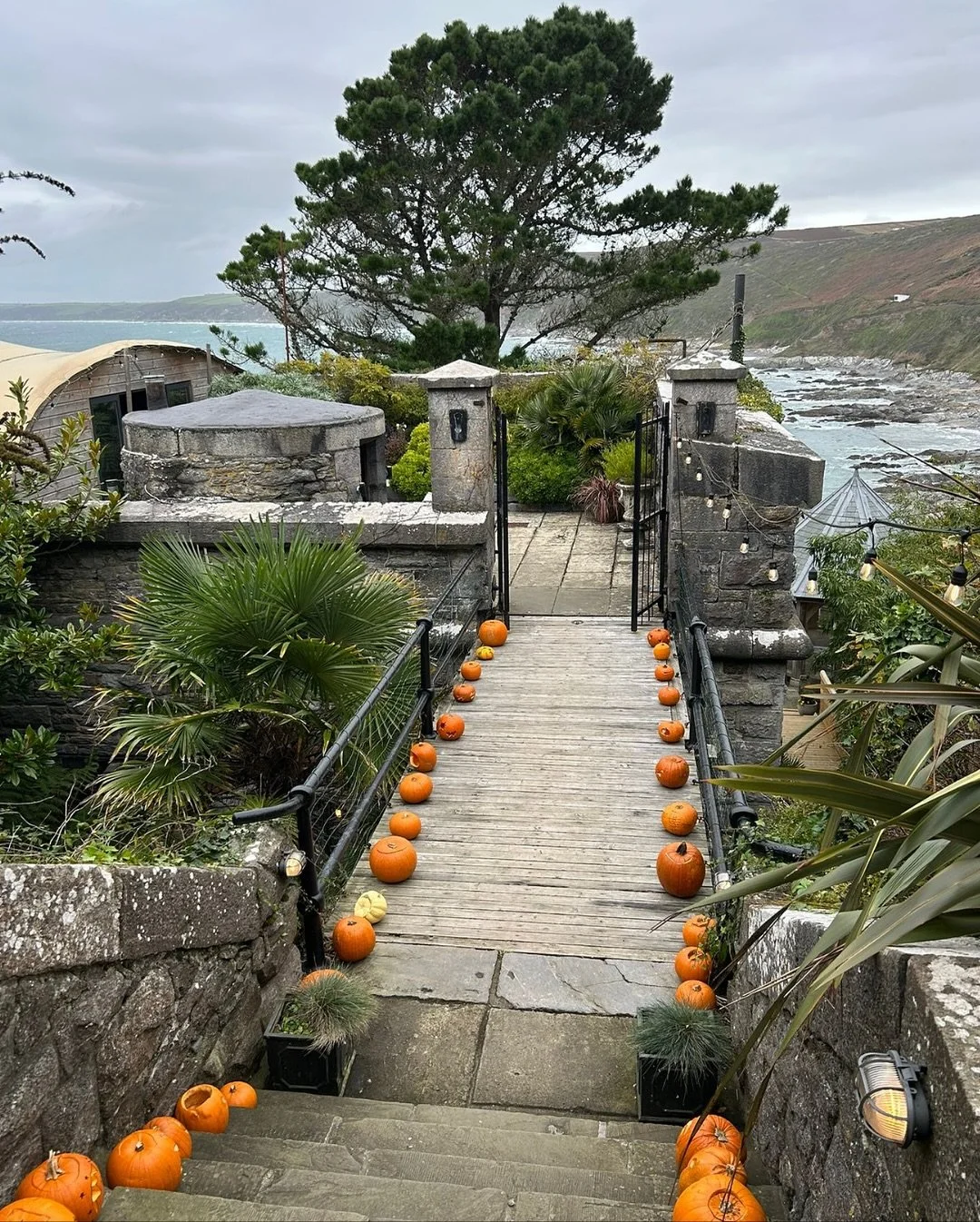 Halloween weddings aren&rsquo;t something you see every day 🎃

This one at @polhawnfortweddings with the team from @buenapetito_catering definitely embraced the season and even had some unconventional ring bearers, swipe for a surprise ➡️

Always gr