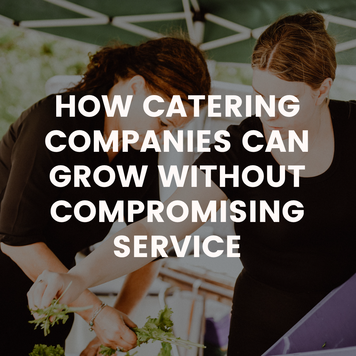 How Catering Companies Can Grow Without Compromising Service