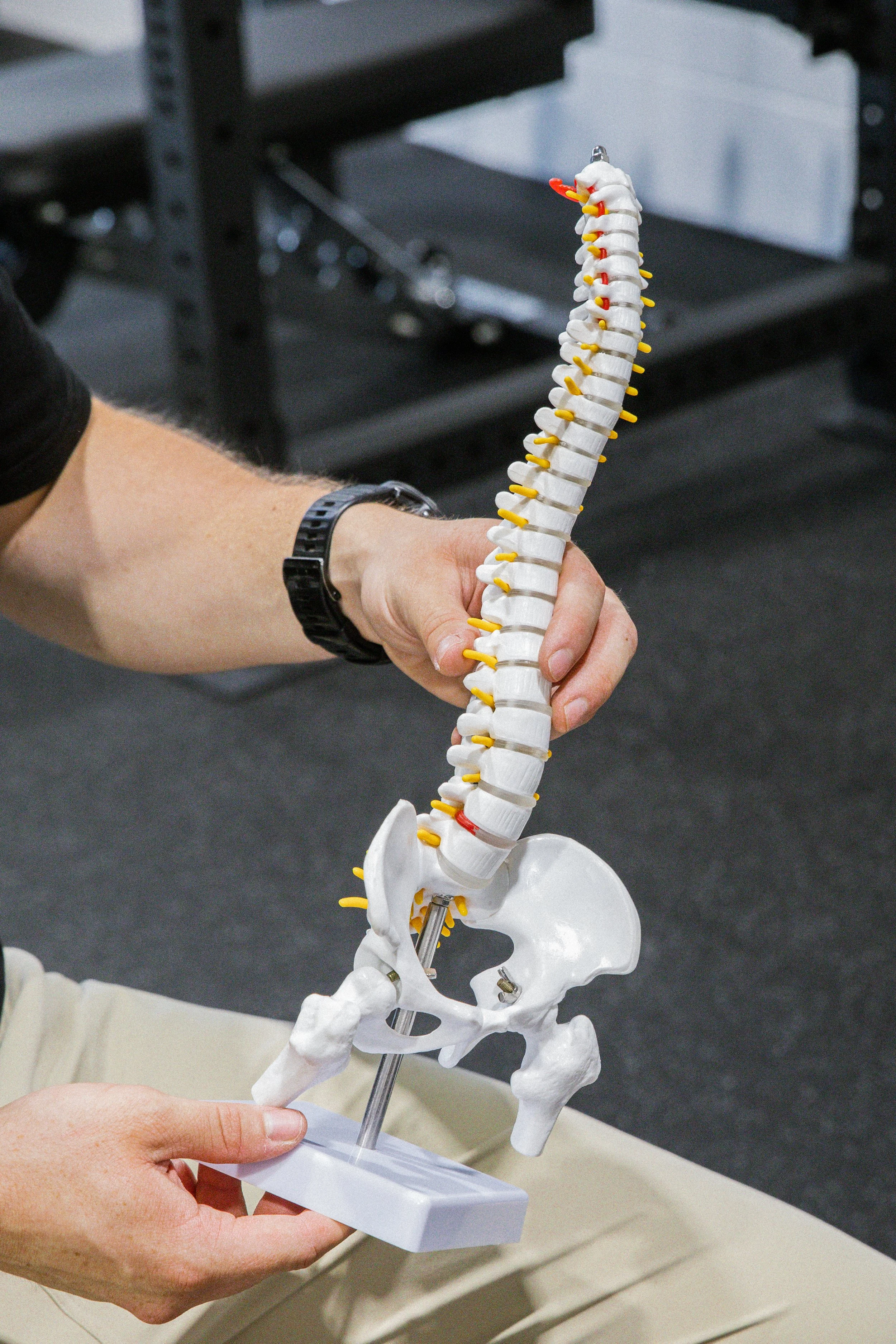 Vertebral Disc Injuries: What They Are, Grades of Injury &amp; How We Can Help