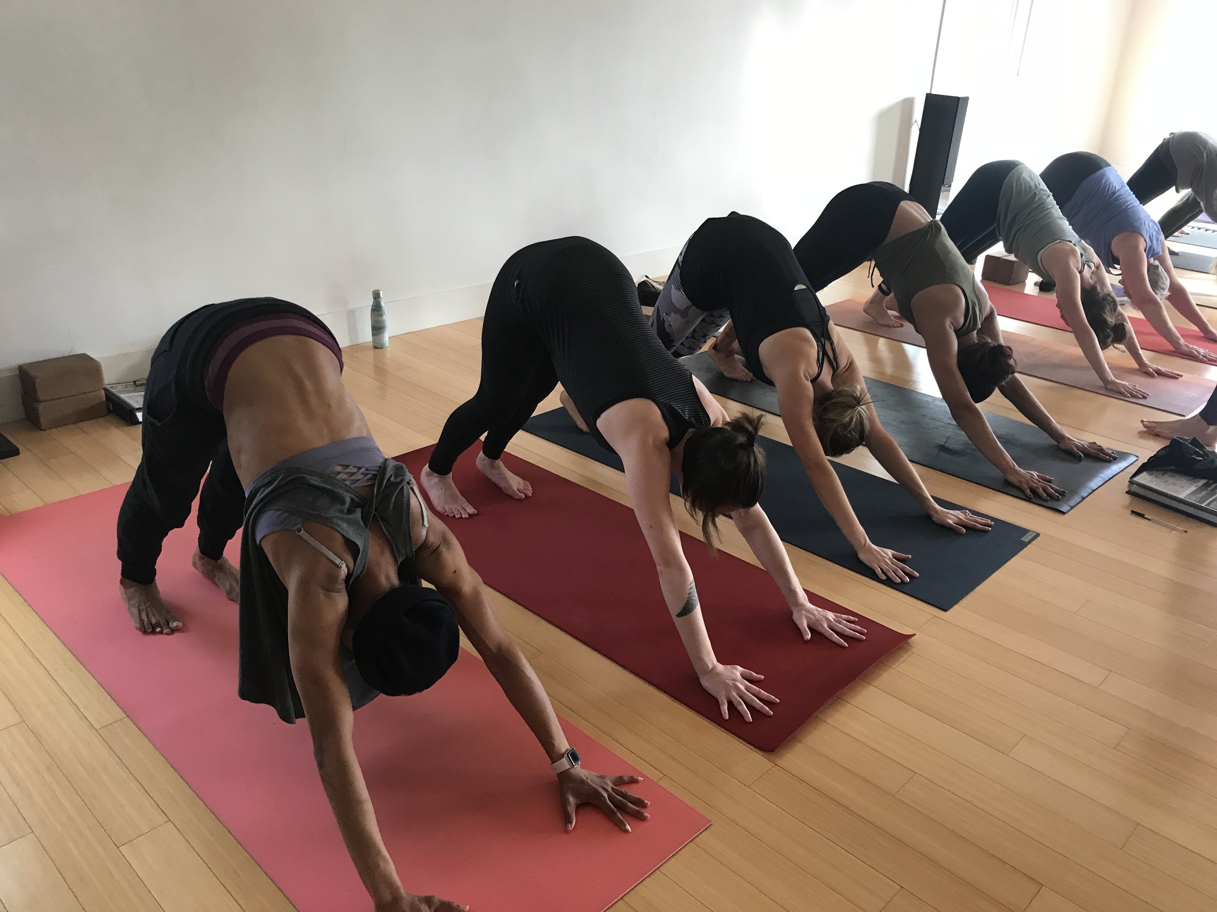 Boston's Best 300 Hour Yoga Teacher Training — Down Under School of Yoga