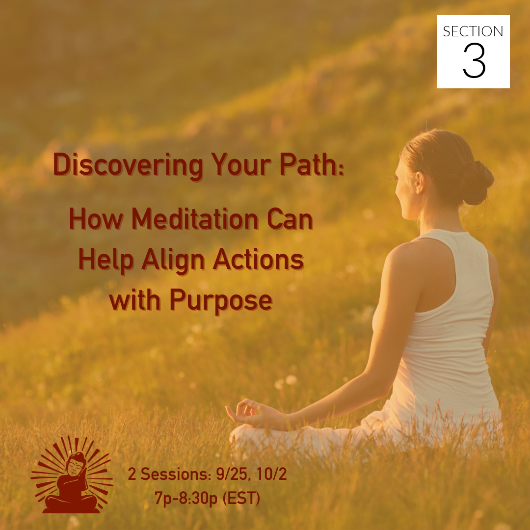 Discovering Your Path: How Meditation can Help Align Action with Purpose