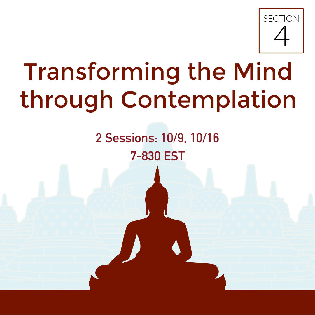Transforming the Mind Through Contemplation