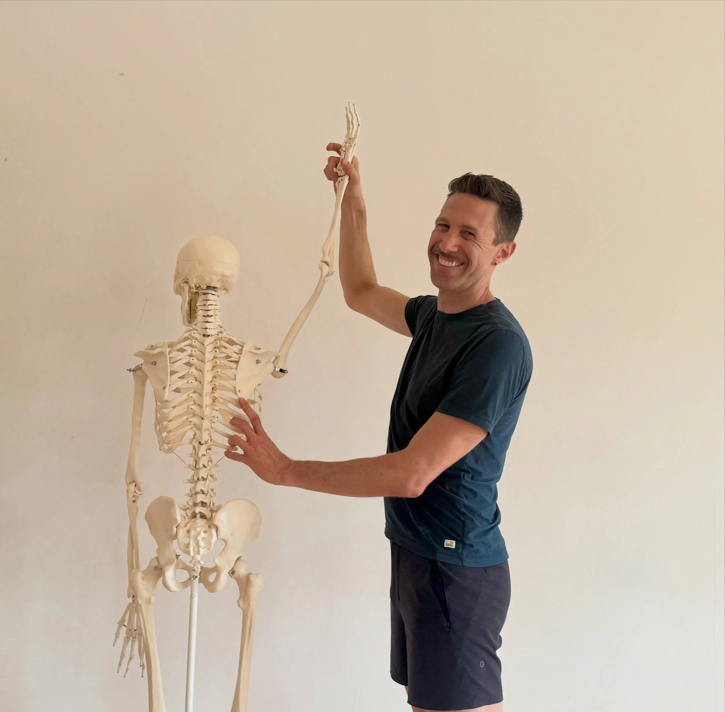 The skelly is coming out just in time for spooky season&hellip; 
💀👻🎃

The Anatomical Yogi Series with @danieljmax starts THIS weekend! Designed for YTT grads, teachers, and curious practitioners, this series explores functional anatomy through mov