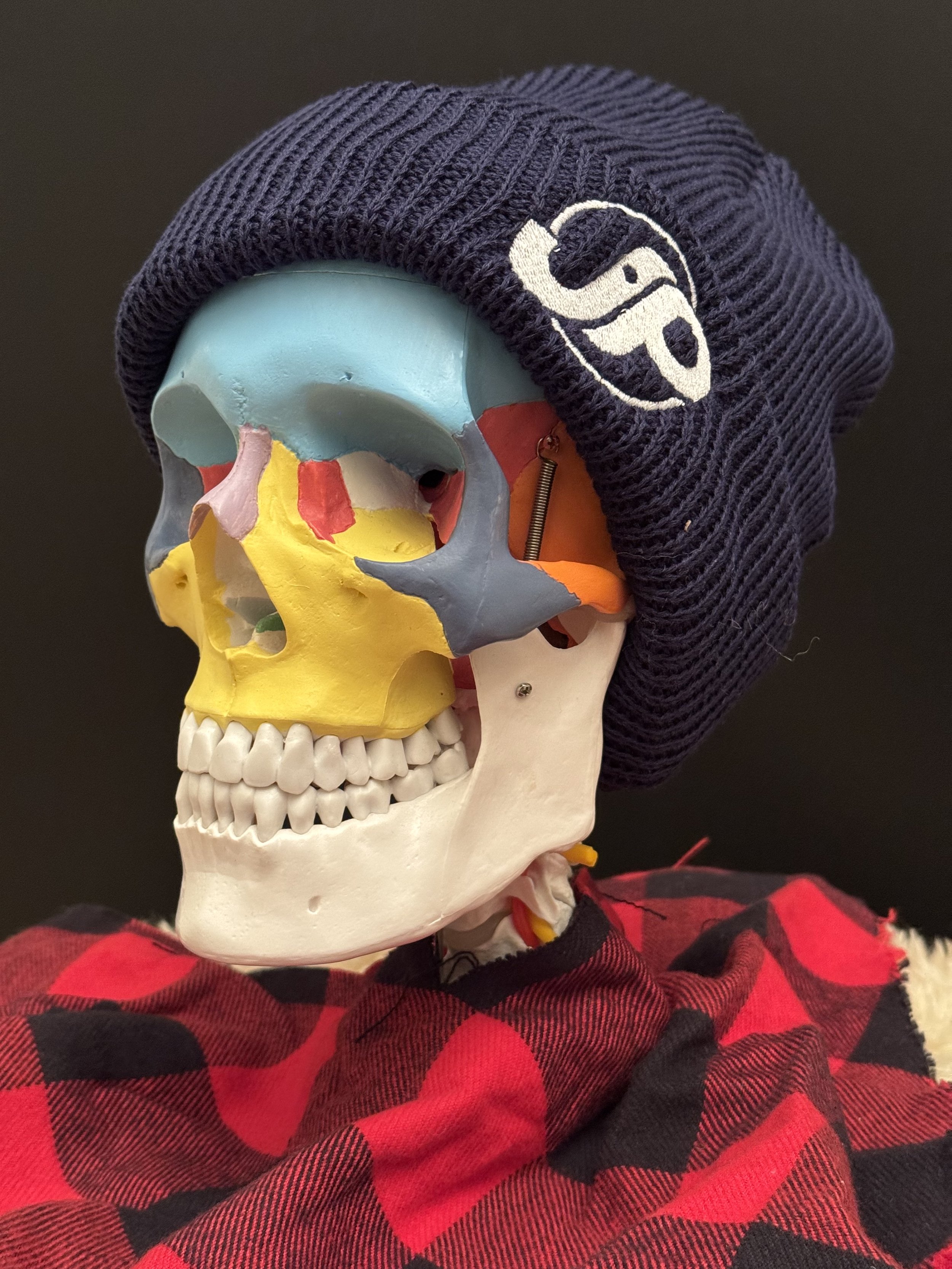 beanie 2.jpg