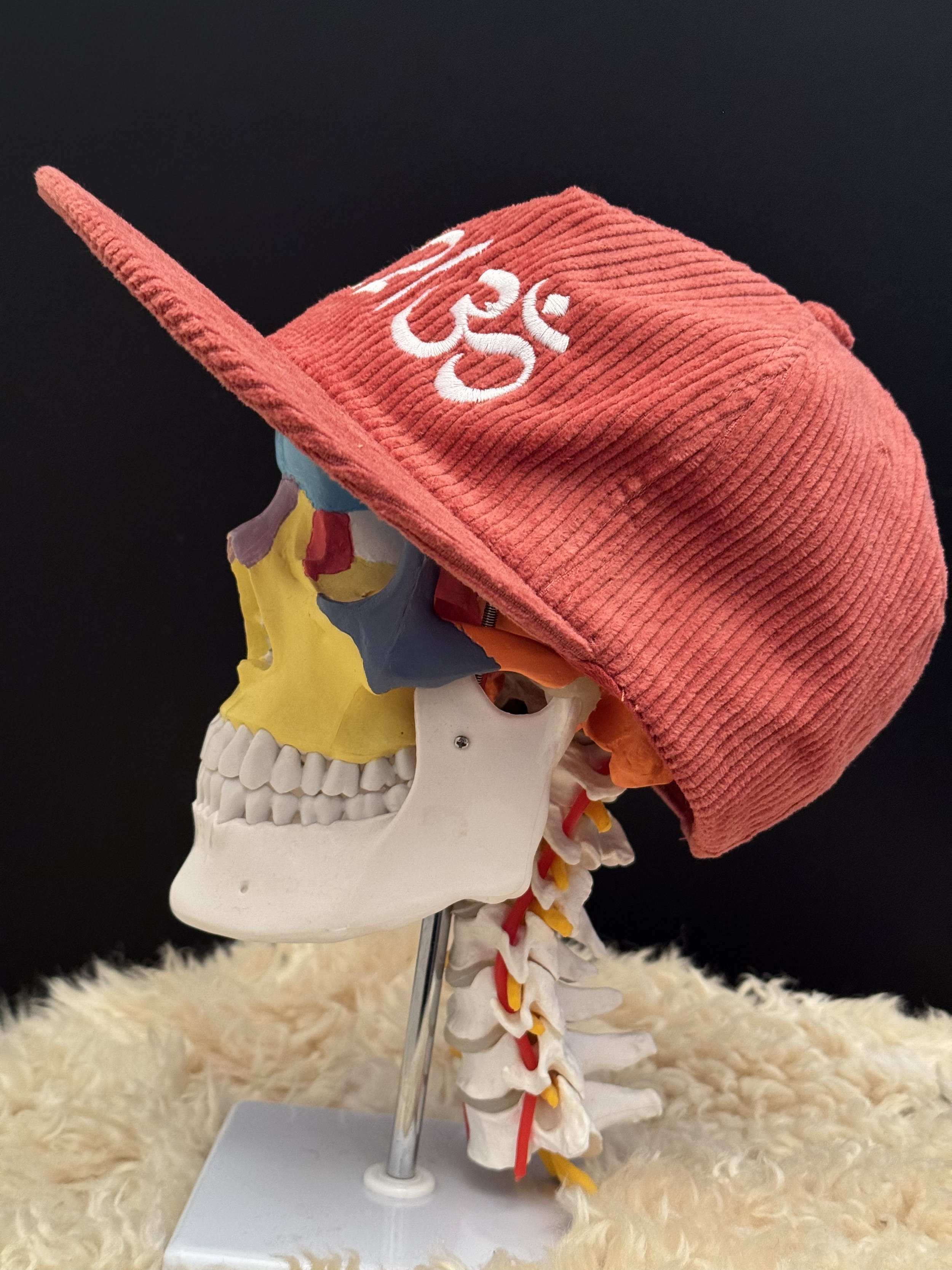 hat 4.jpg