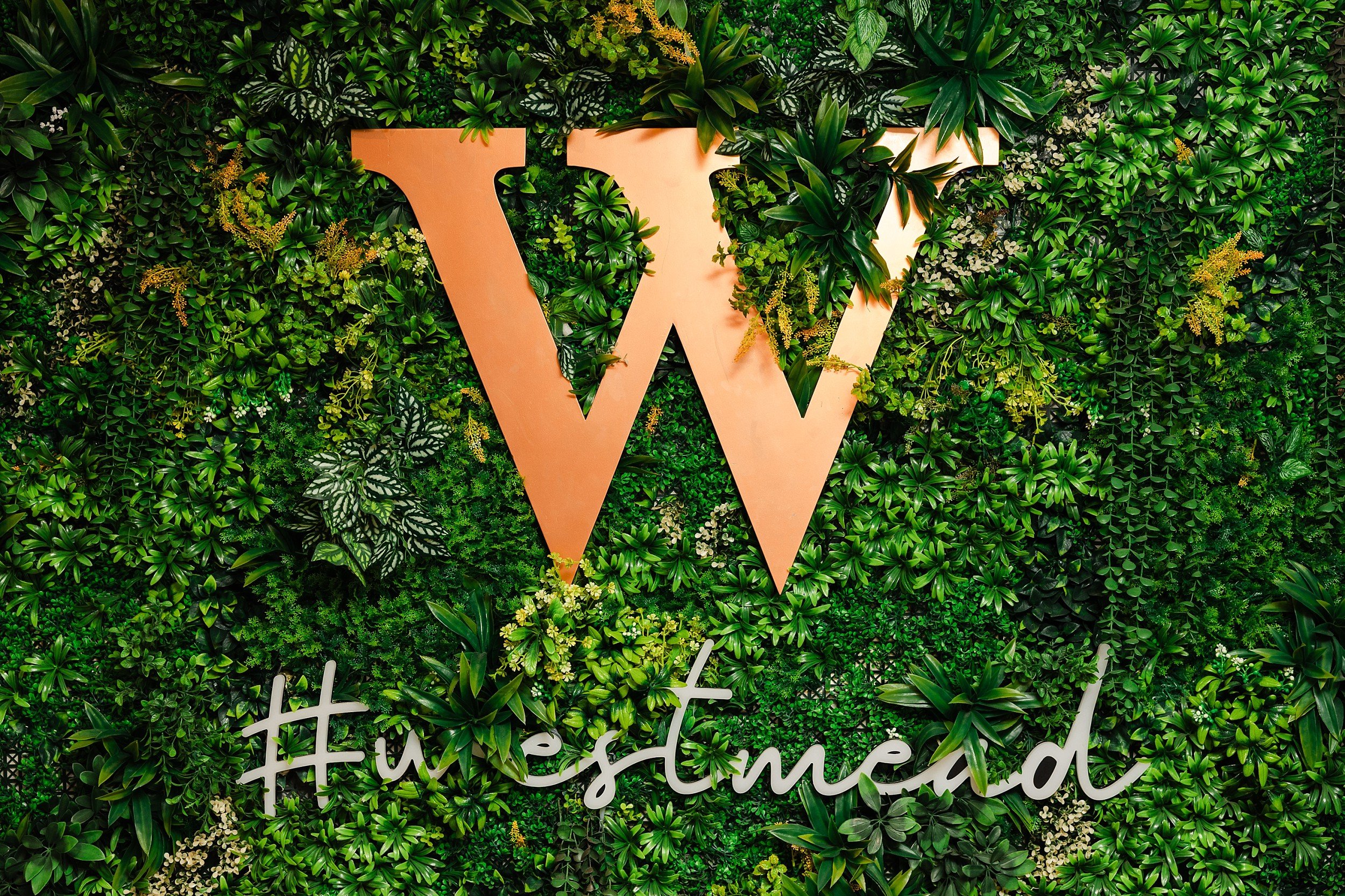 250612 NHBC Longbridge (238).jpg