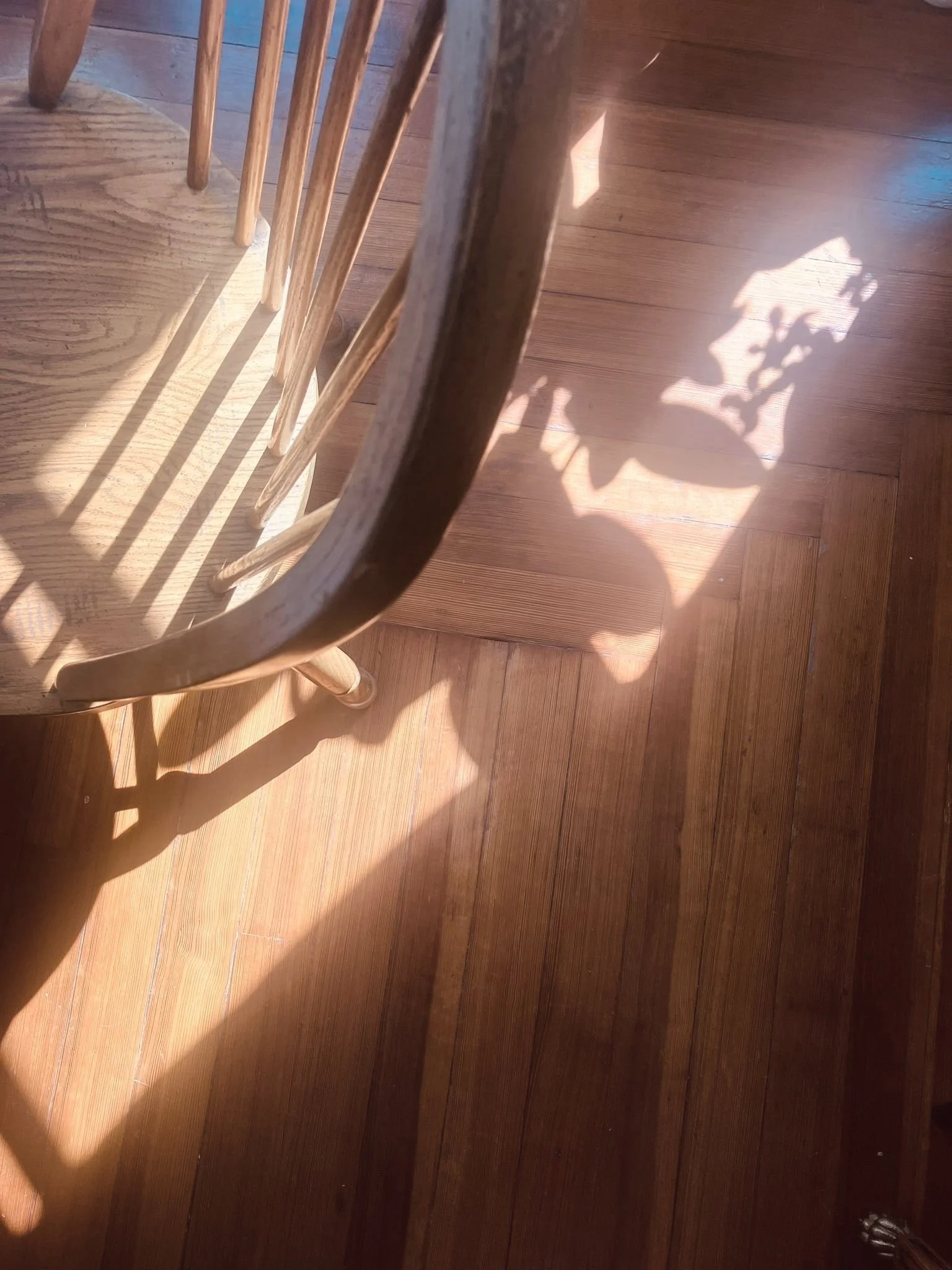 E76359A1-417A-4C76-97BA-BF97EADE697F.jpg