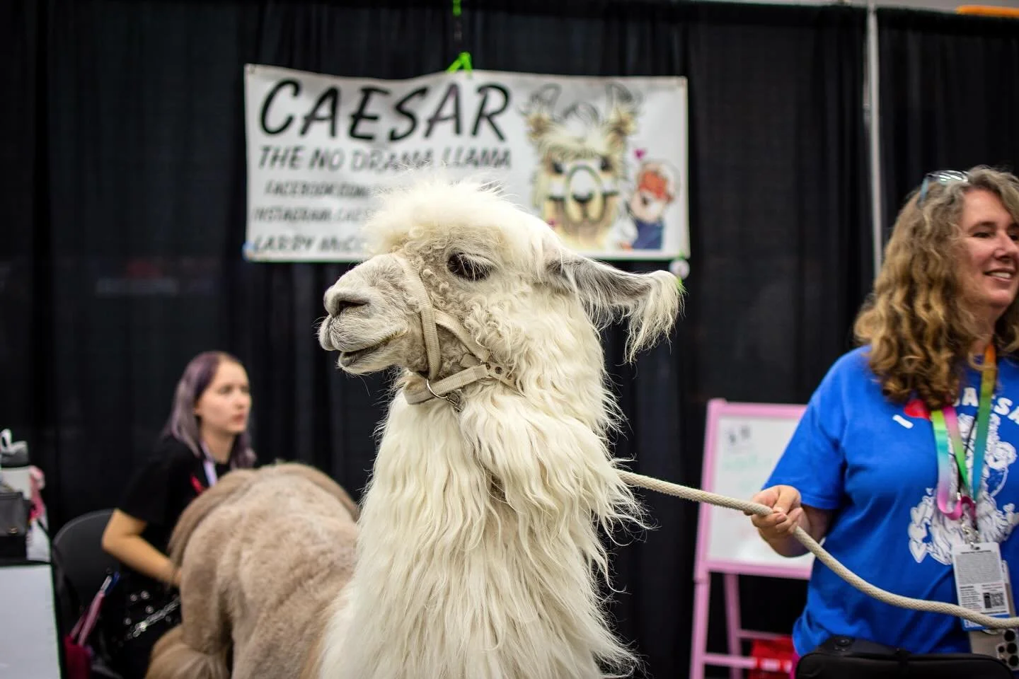 Other moments &lsquo;round the con. And yes, of course the llama was there.
.
.
.

#photography #con #rosecitycomiccon #rccc #rosecitycomiccon2025 #rccc2025 #cosplay #comiccon #convention #cosplayphotography #nerd #oregonconventioncenter #pdx #anime 