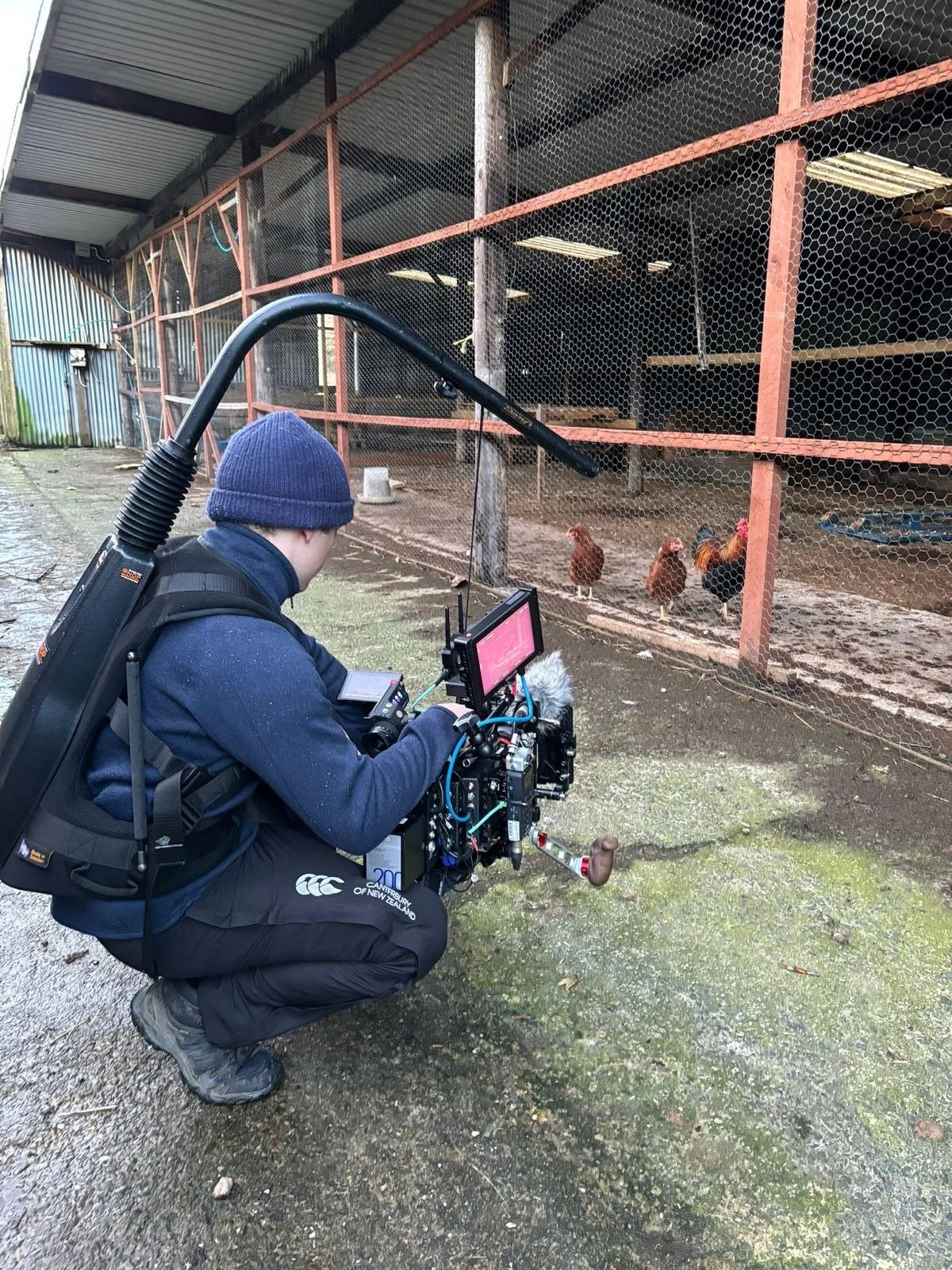 A person wearing a navy blue beanie and navy jacket, crouching with a camera rig, filming chickens inside a chicken coop.