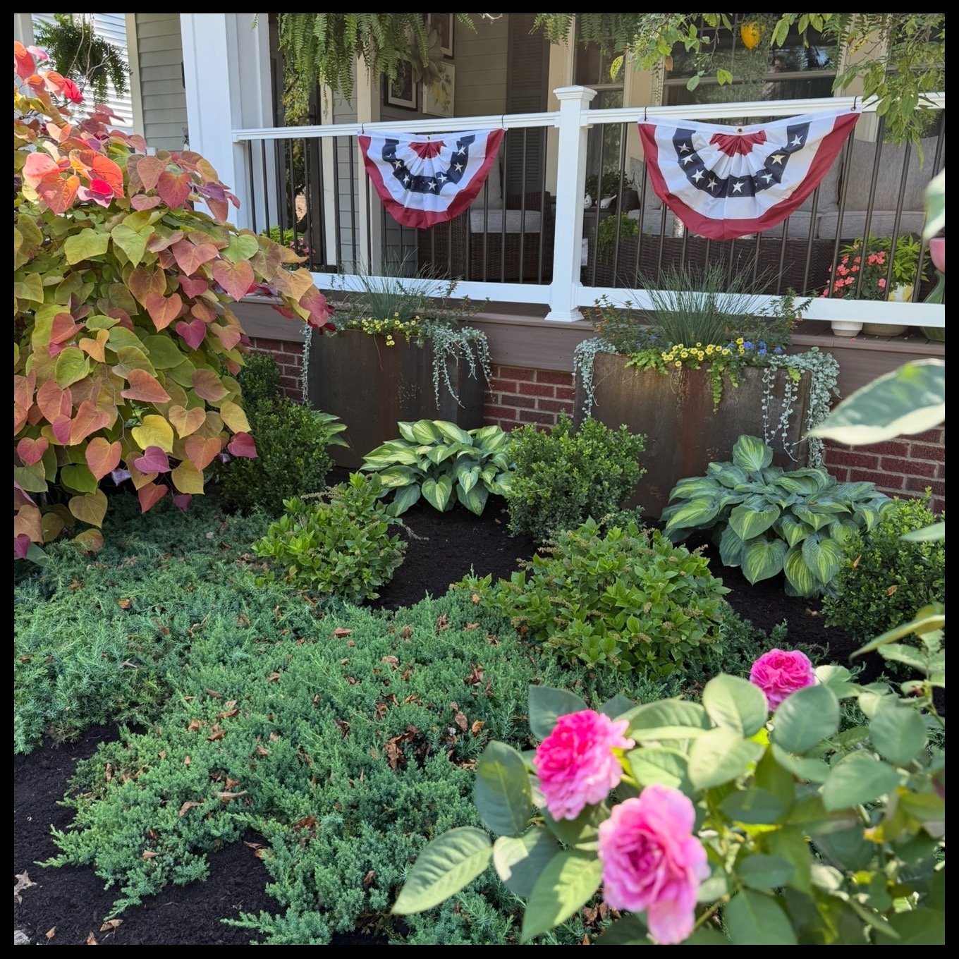 A garden with various green plants, including pink roses in the foreground, on a porch decorated with patriotic bunting in red, white, and blue. There are large planters with flowers behind a white railing, and part of a house with windows is visible