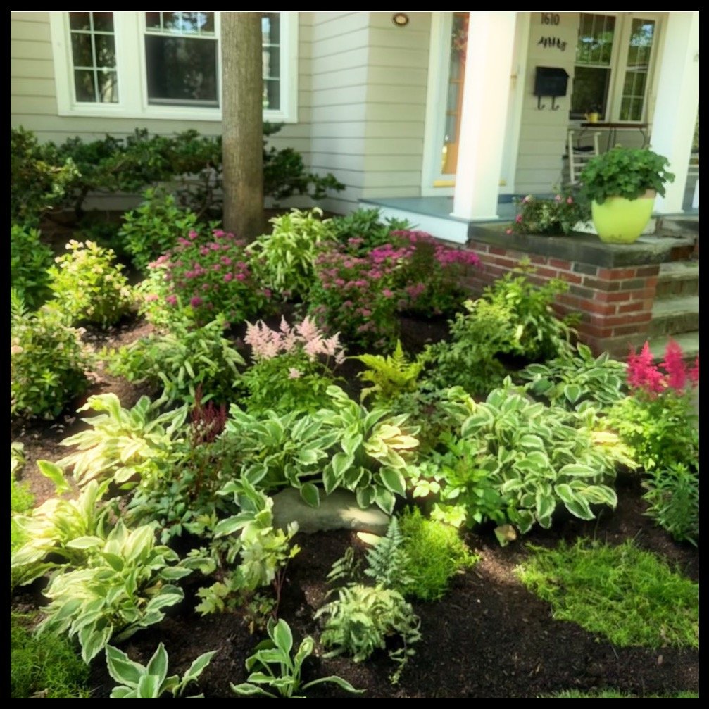 A landscaped garden in front of a house with a porch, featuring various plants and flowers, with a tree in the center and a house entrance with steps.