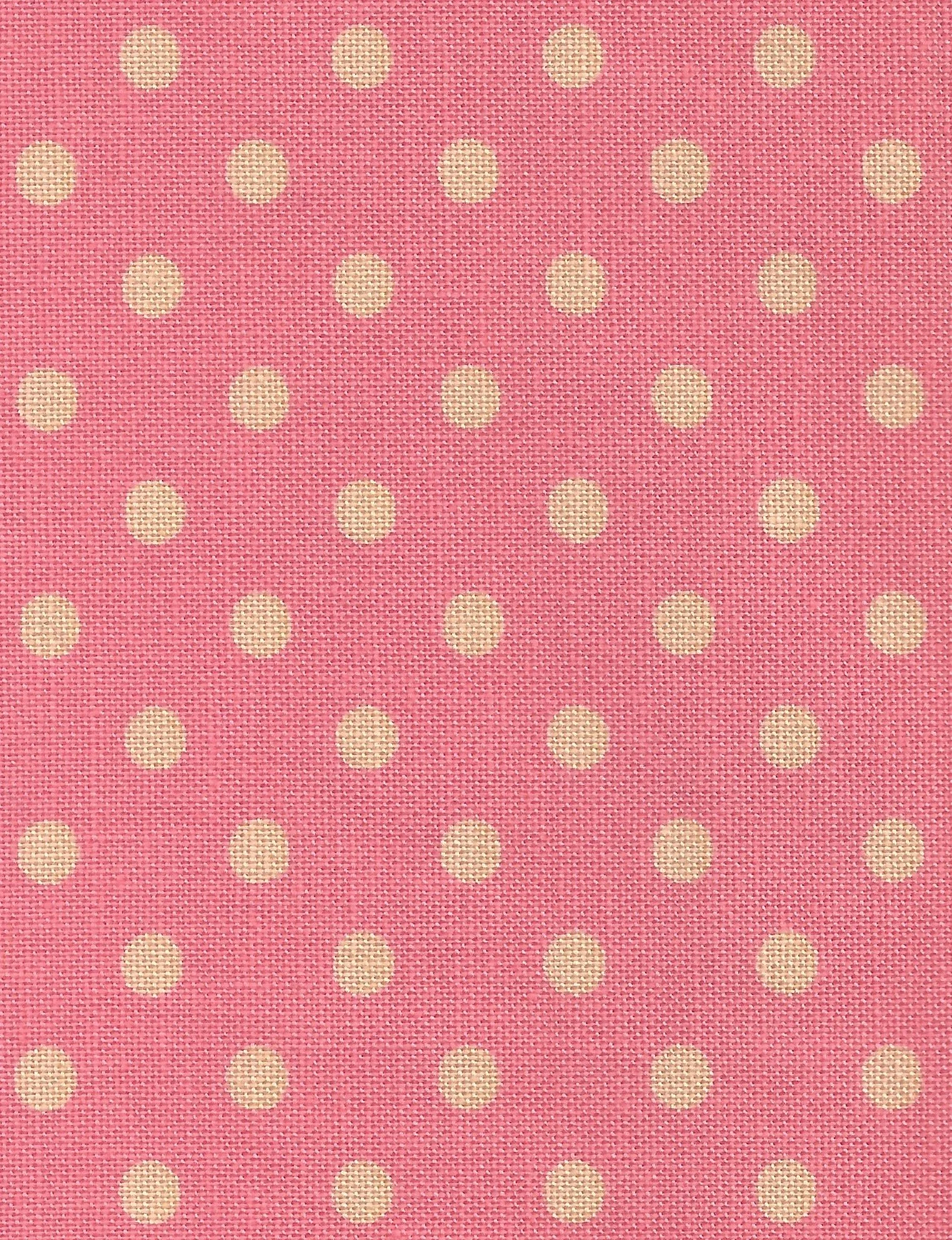 Punkte Koralle 2.jpeg