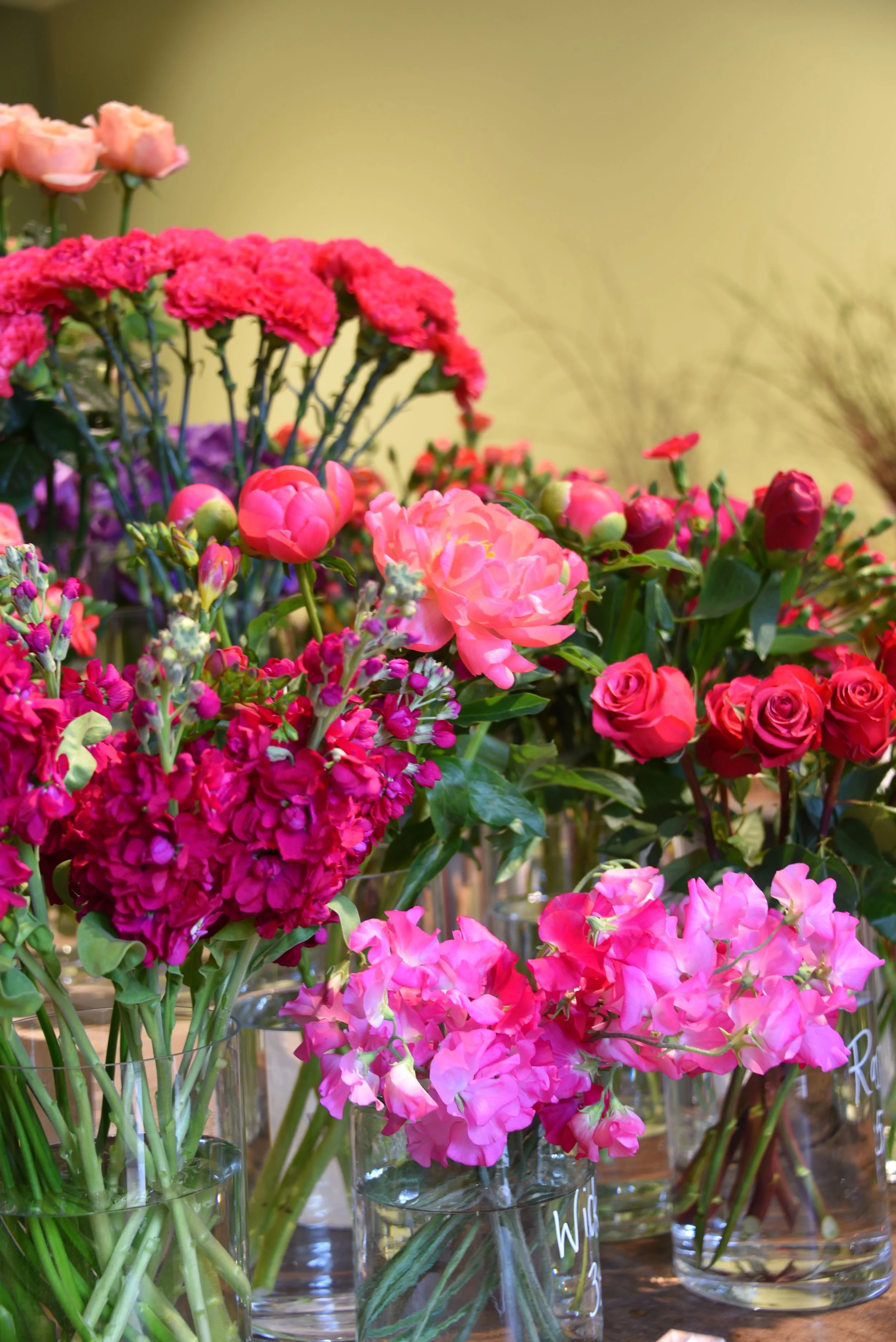 'Florist's Choice'