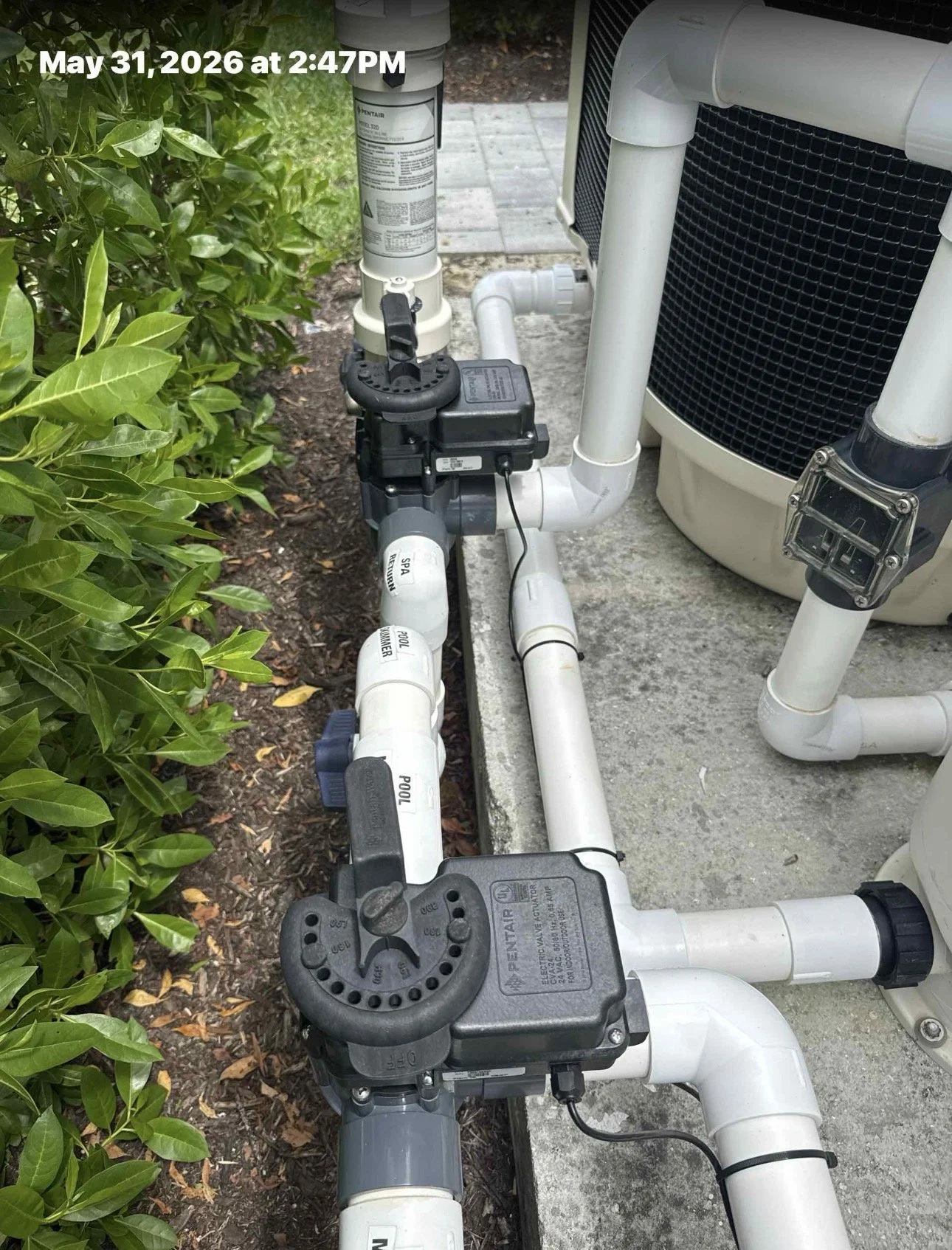 Outdoor pool equipment and piping next to green bushes, including filter, valves, and pumps, on a concrete surface with a building wall in the background.