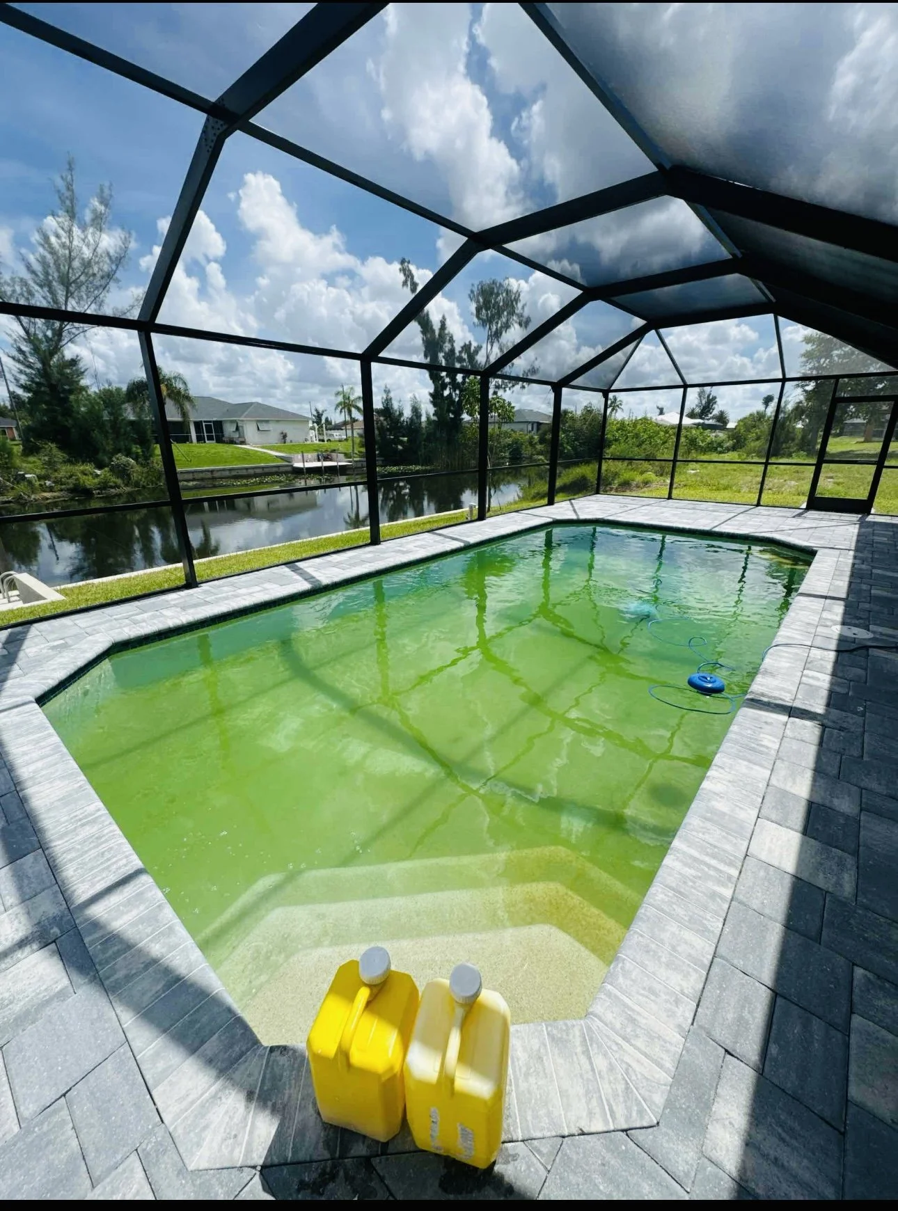Before and after green pool cleanup completed by Brandon Pools in Cape Coral, Florida. Our team transformed this algae-filled swimming pool into crystal-clear blue water through professional pool cleaning, water chemistry balancing, filtration improv