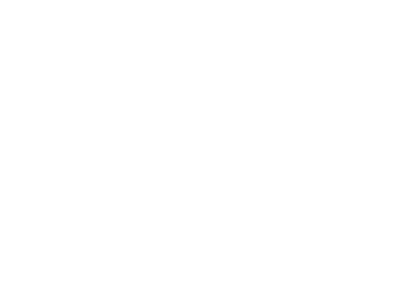 LowDown