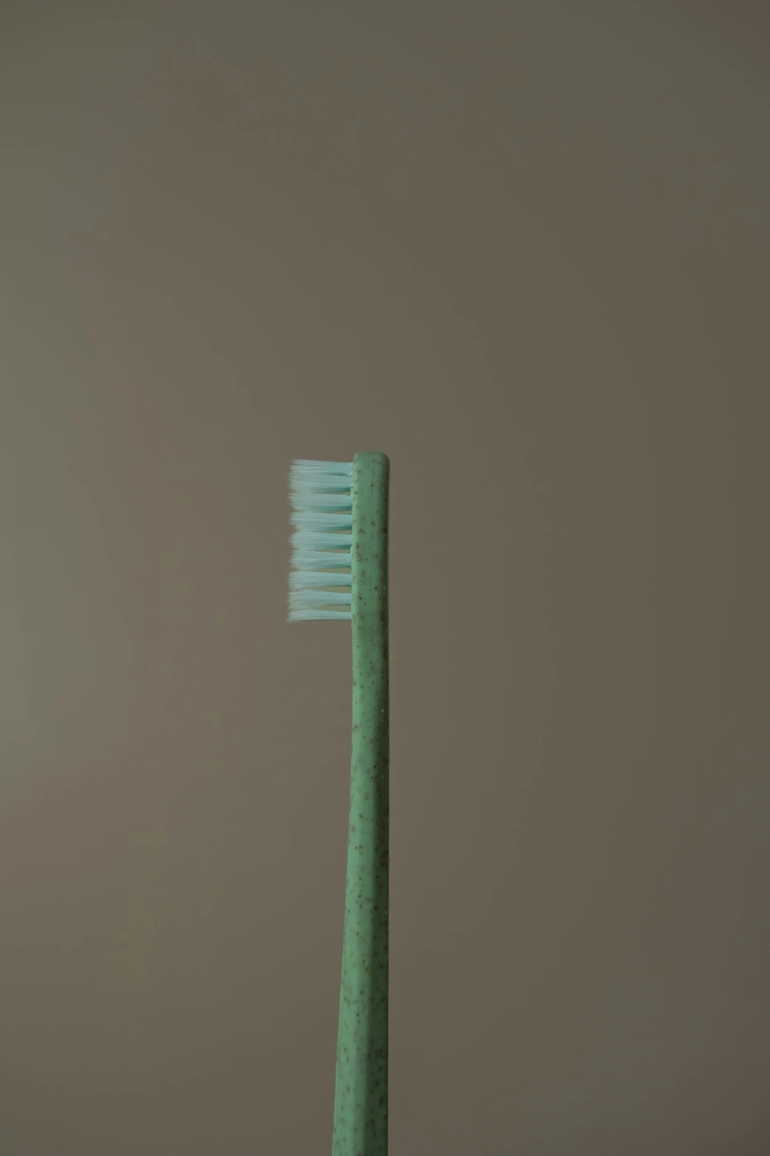 The toothbrush