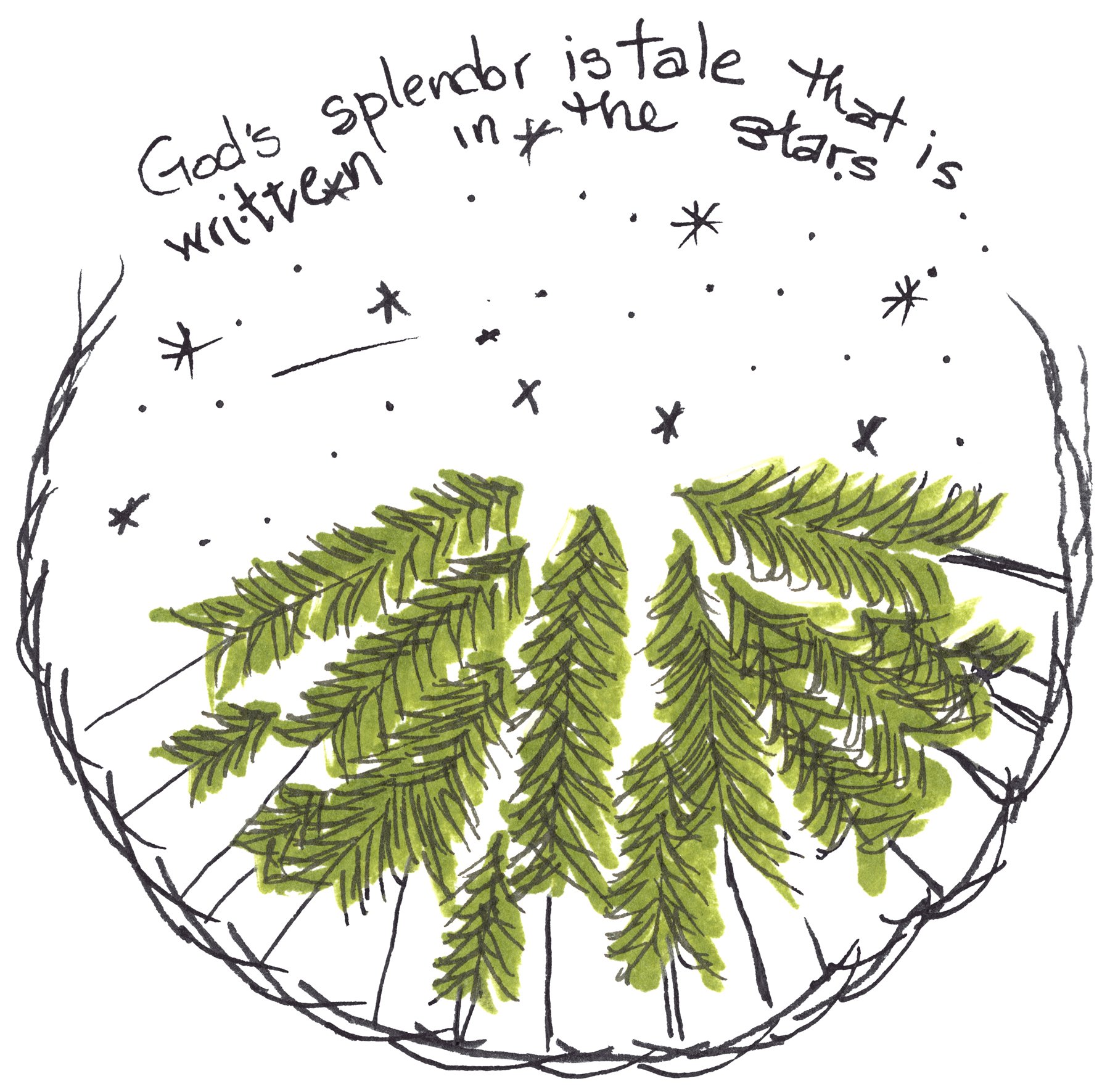 Trees greeting card